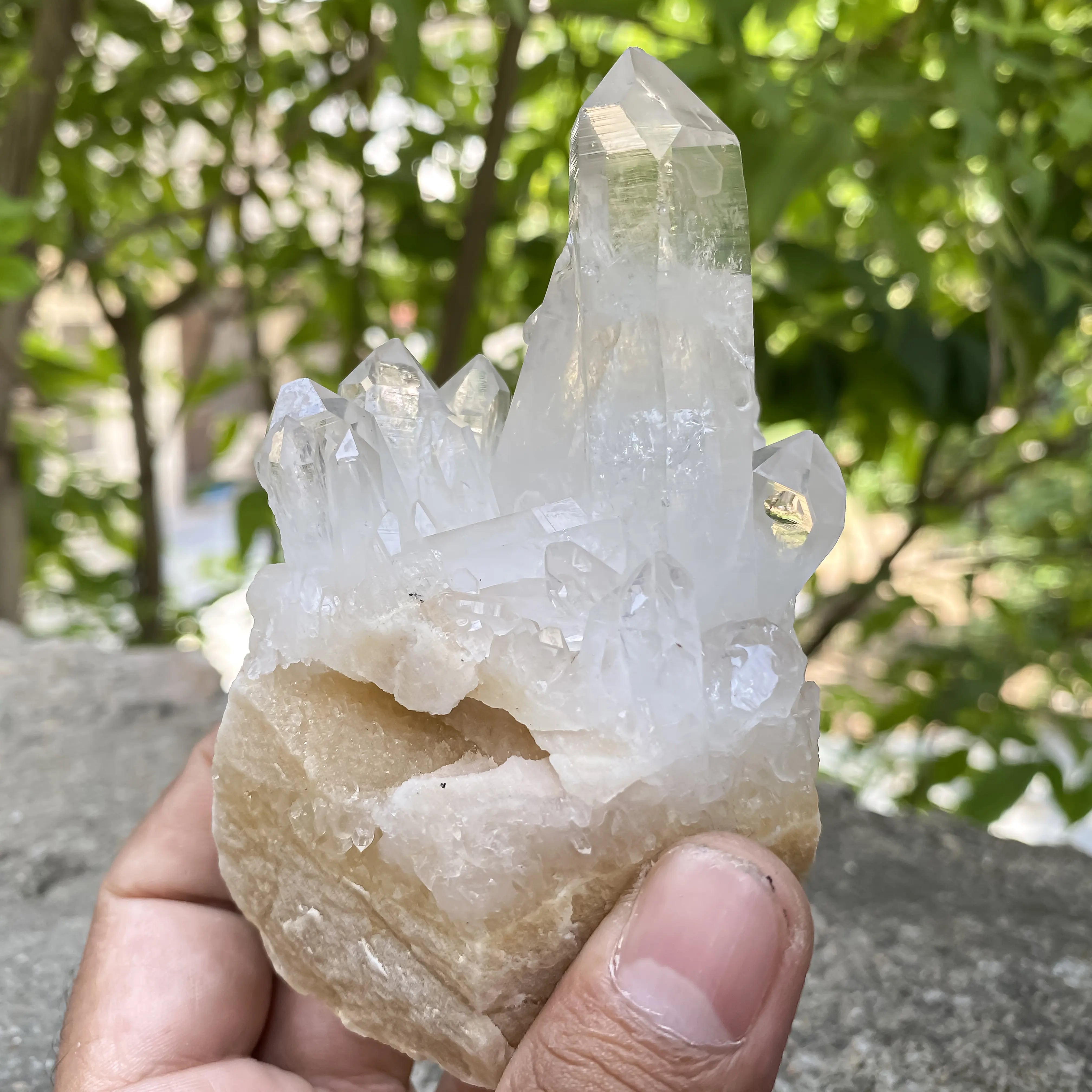 Natural Himalayan White Quartz Cluster 320g Master Healer Crystal