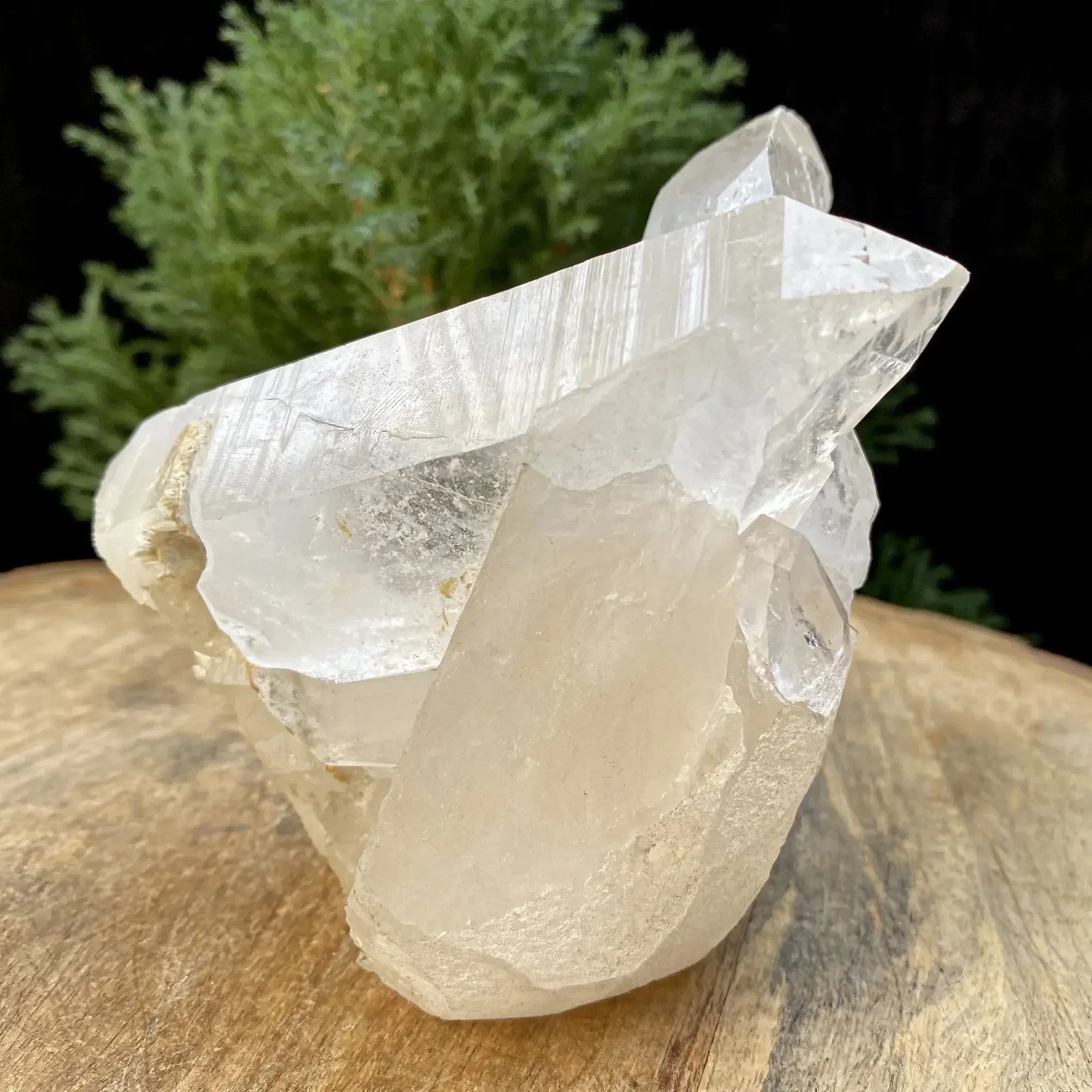 Natural Himalayan White Quartz Cluster 620g Himalayan Quartz