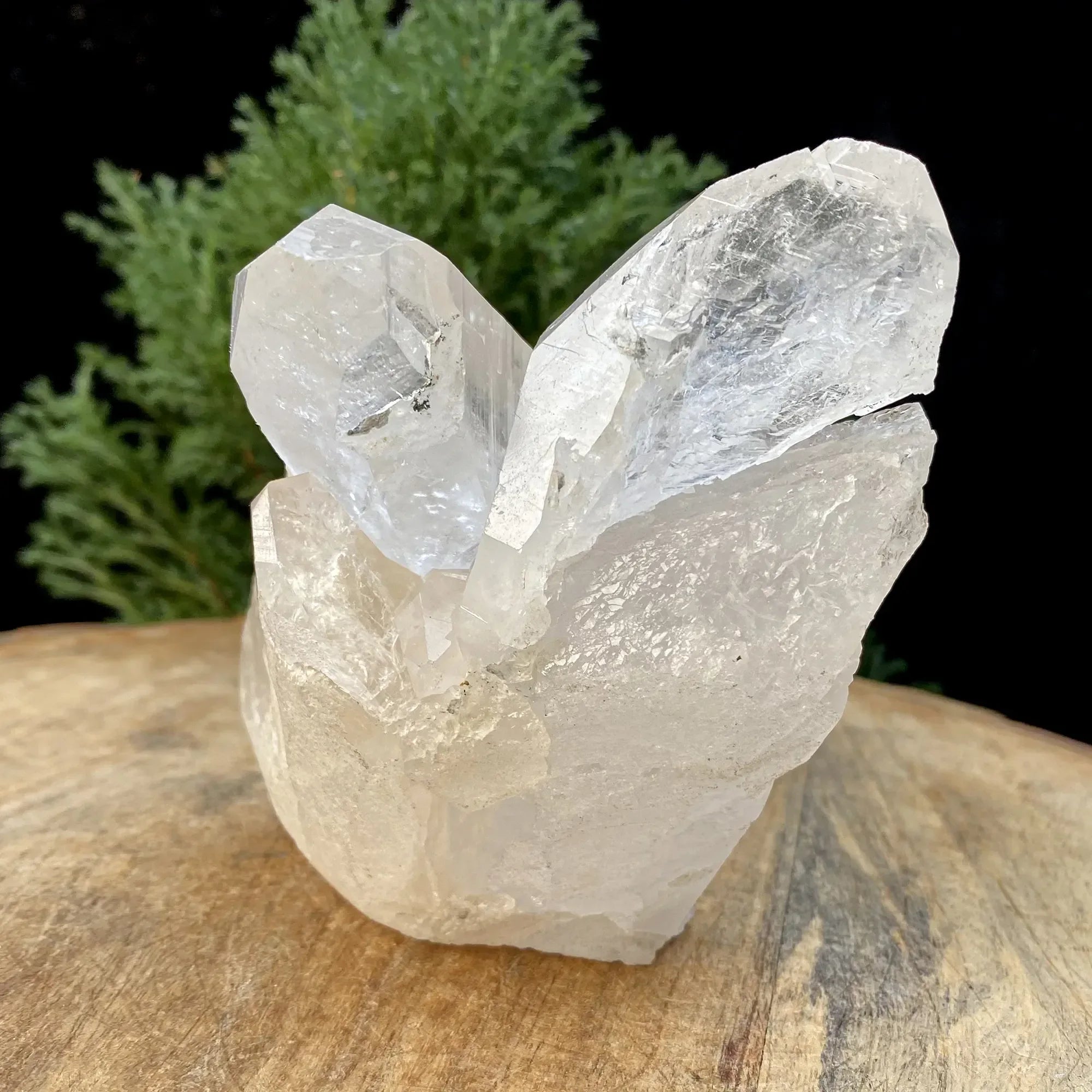 Natural Himalayan White Quartz Cluster 620g Himalayan Quartz