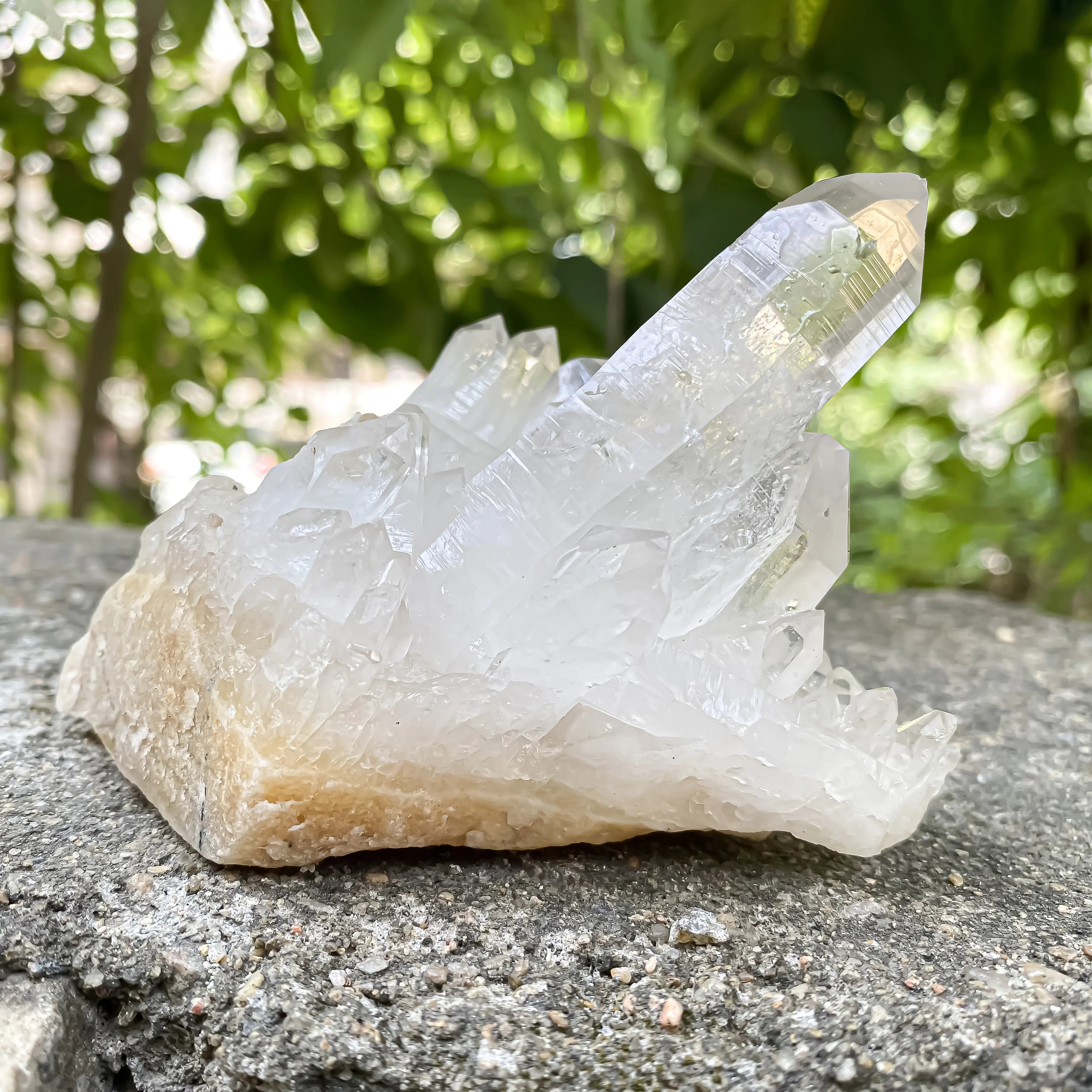 Natural Himalayan White Quartz Cluster 320g Master Healer Crystal