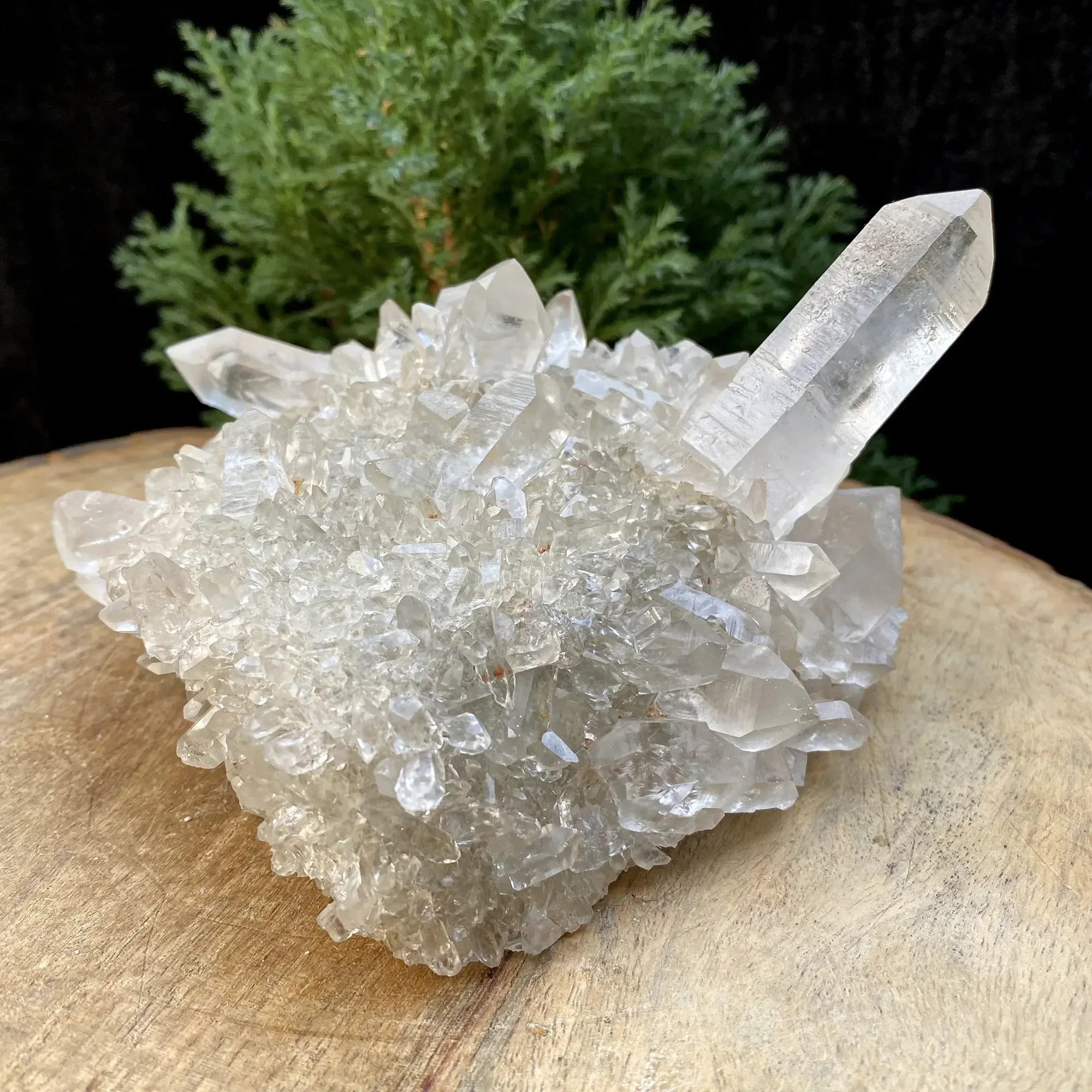 Natural Himalayan White Quartz Cluster 925g Himalayan Quartz