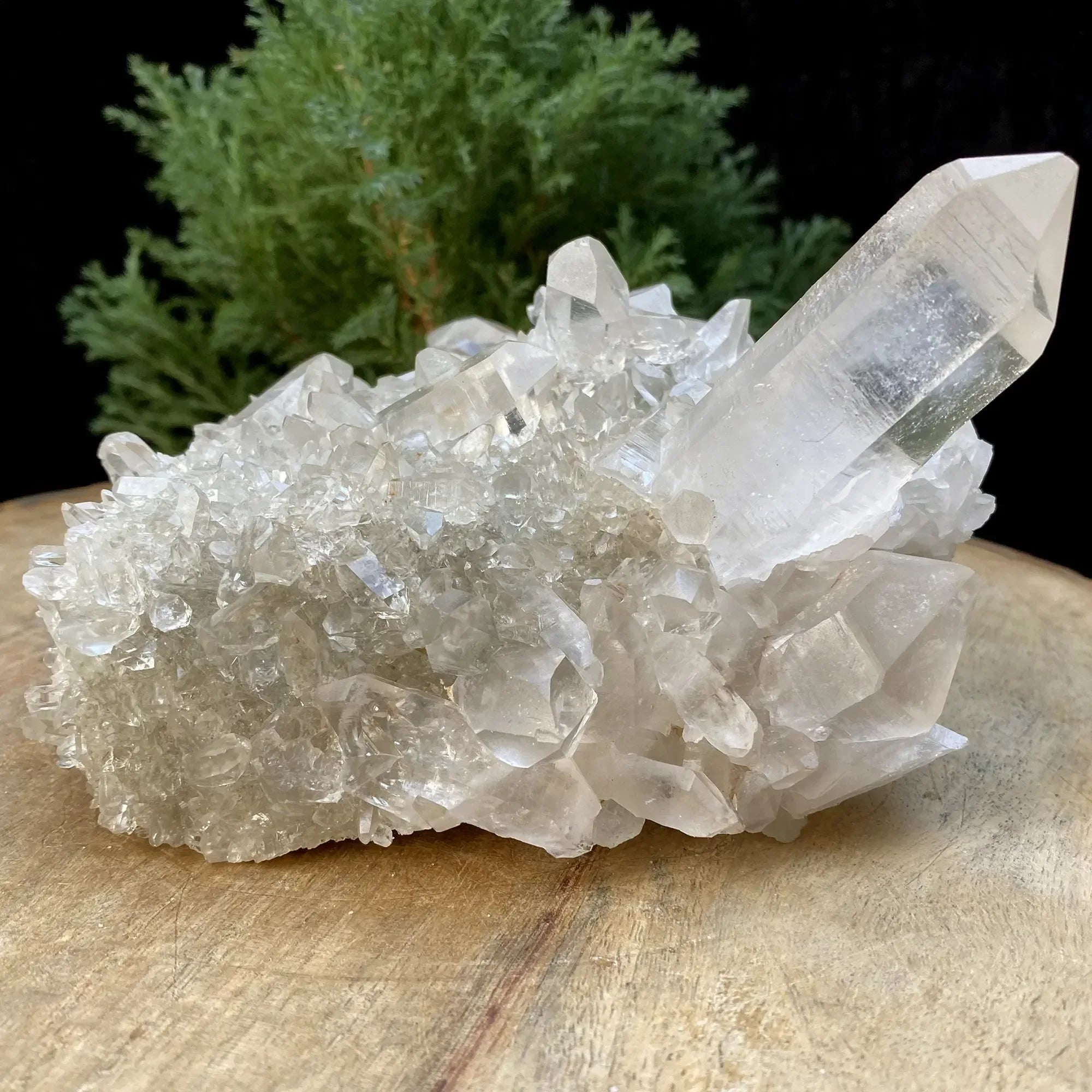 Natural Himalayan White Quartz Cluster 925g Himalayan Quartz