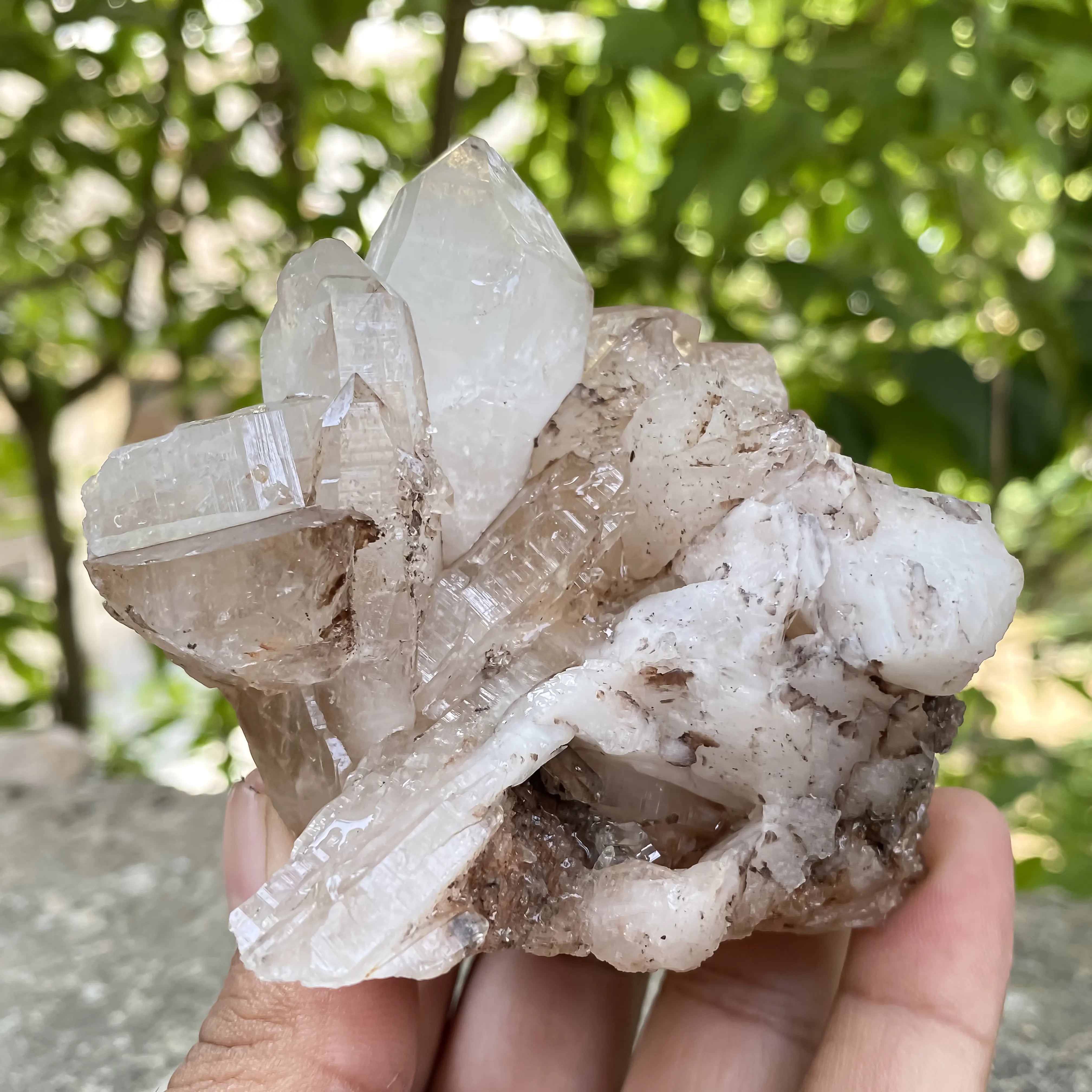 Natural Himalayan Pink Quartz Cluster 330g Healing Crystal
