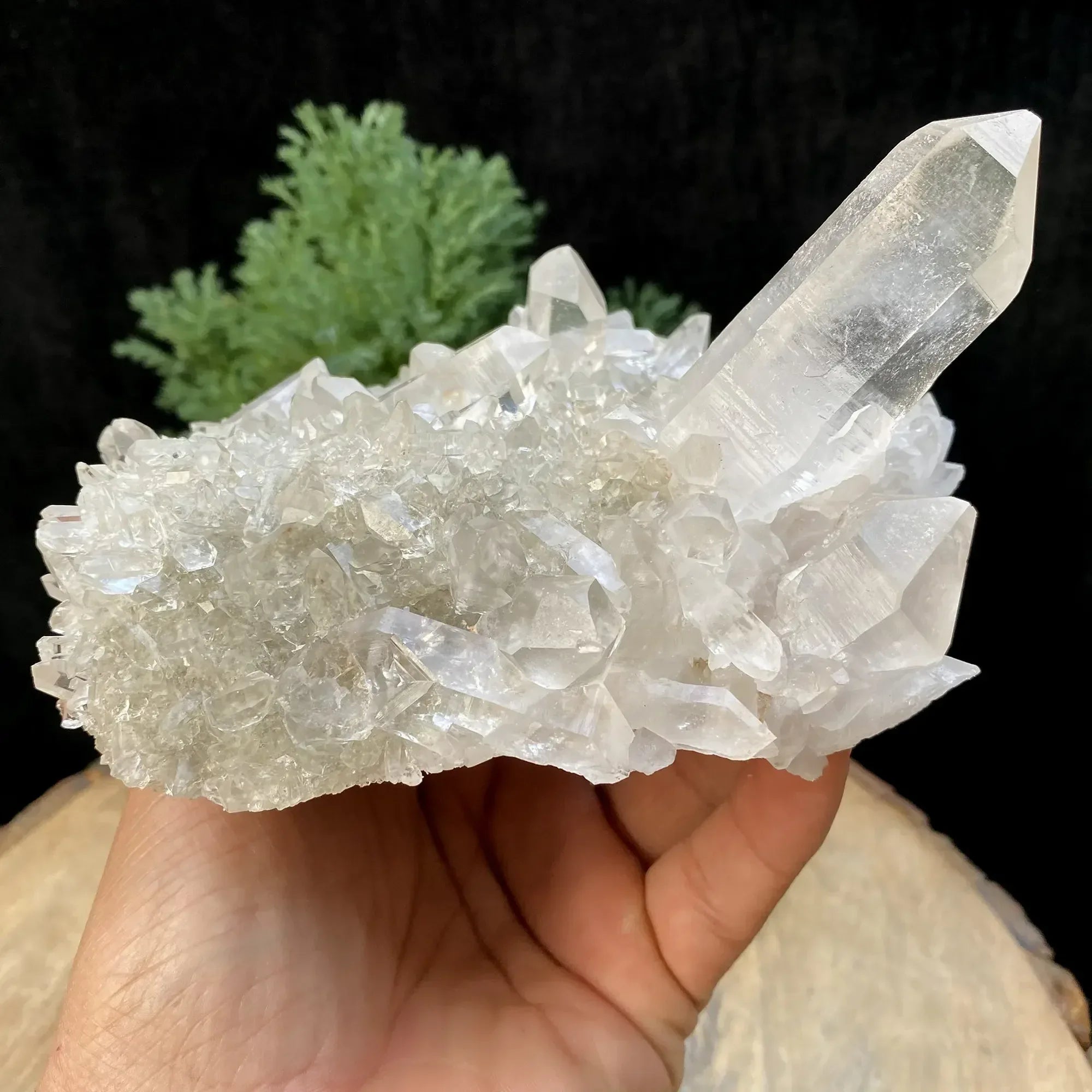 Natural Himalayan White Quartz Cluster 925g Himalayan Quartz