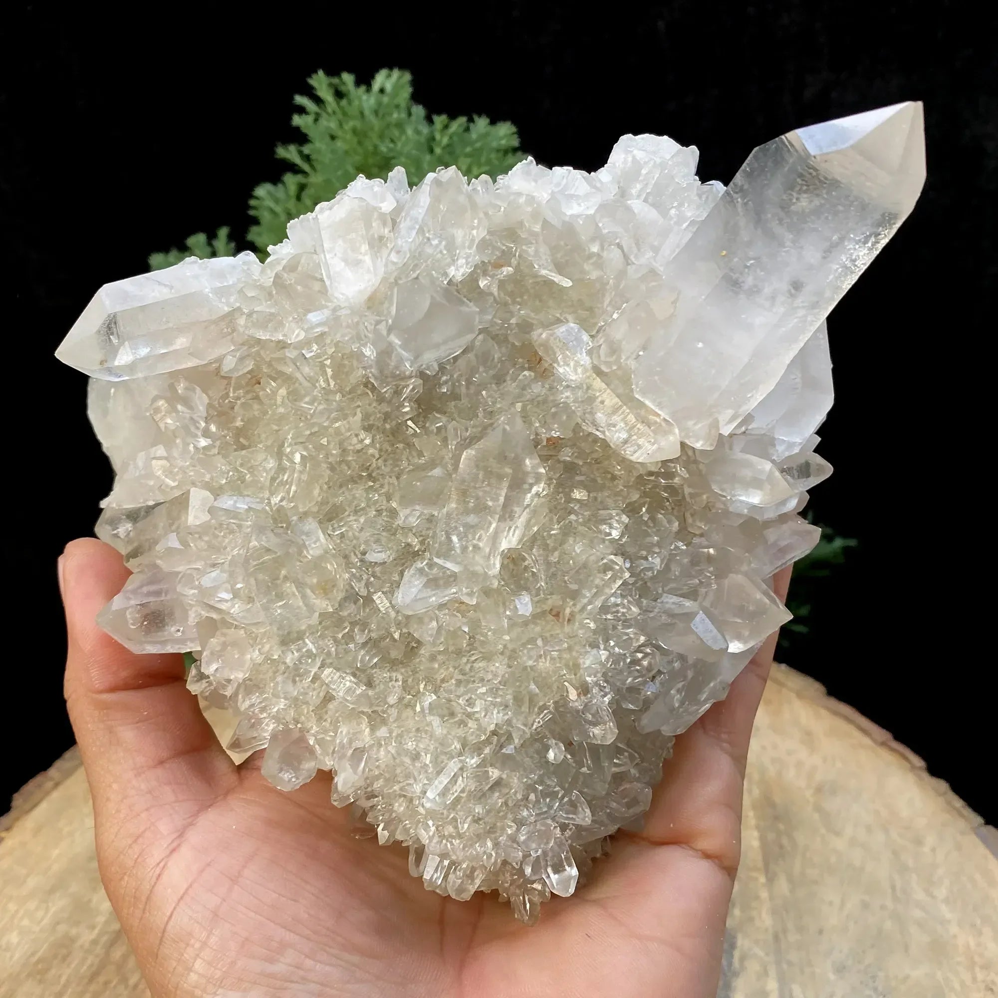 Natural Himalayan White Quartz Cluster 925g Himalayan Quartz