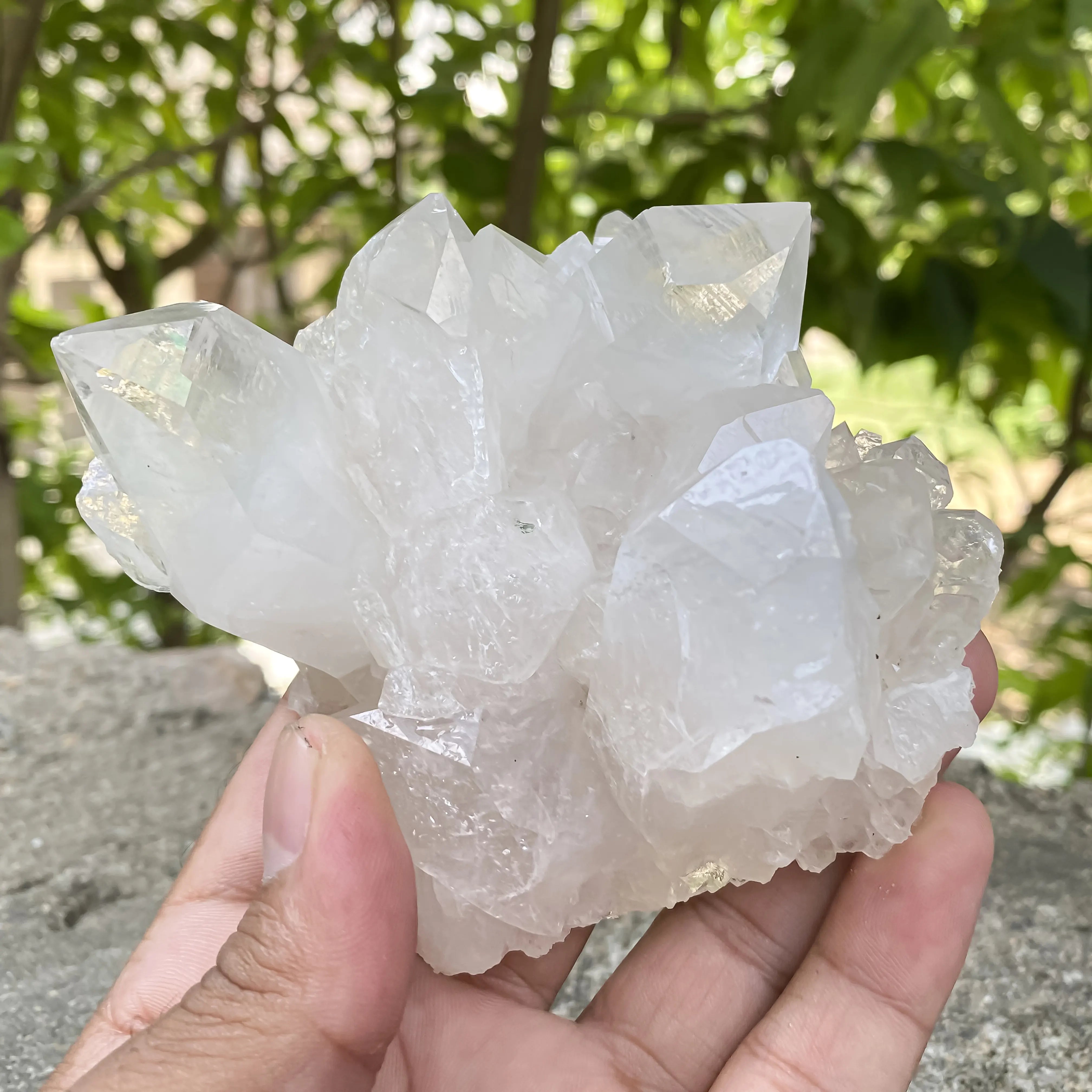 Natural Himalayan White Quartz Cluster 360g Master Heale