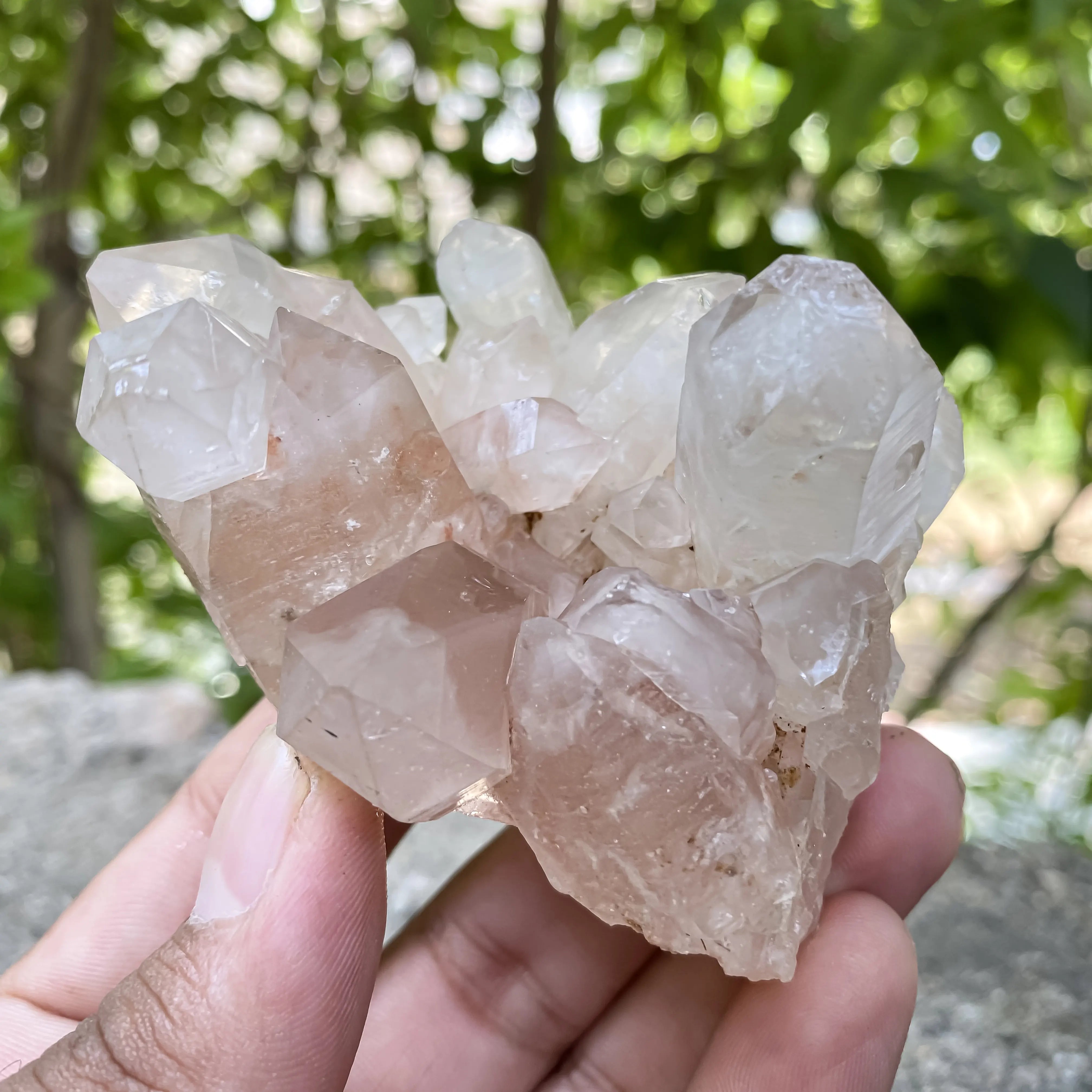 Natural Himalayan Pink Quartz Cluster 175g Healing Crystal Meditation