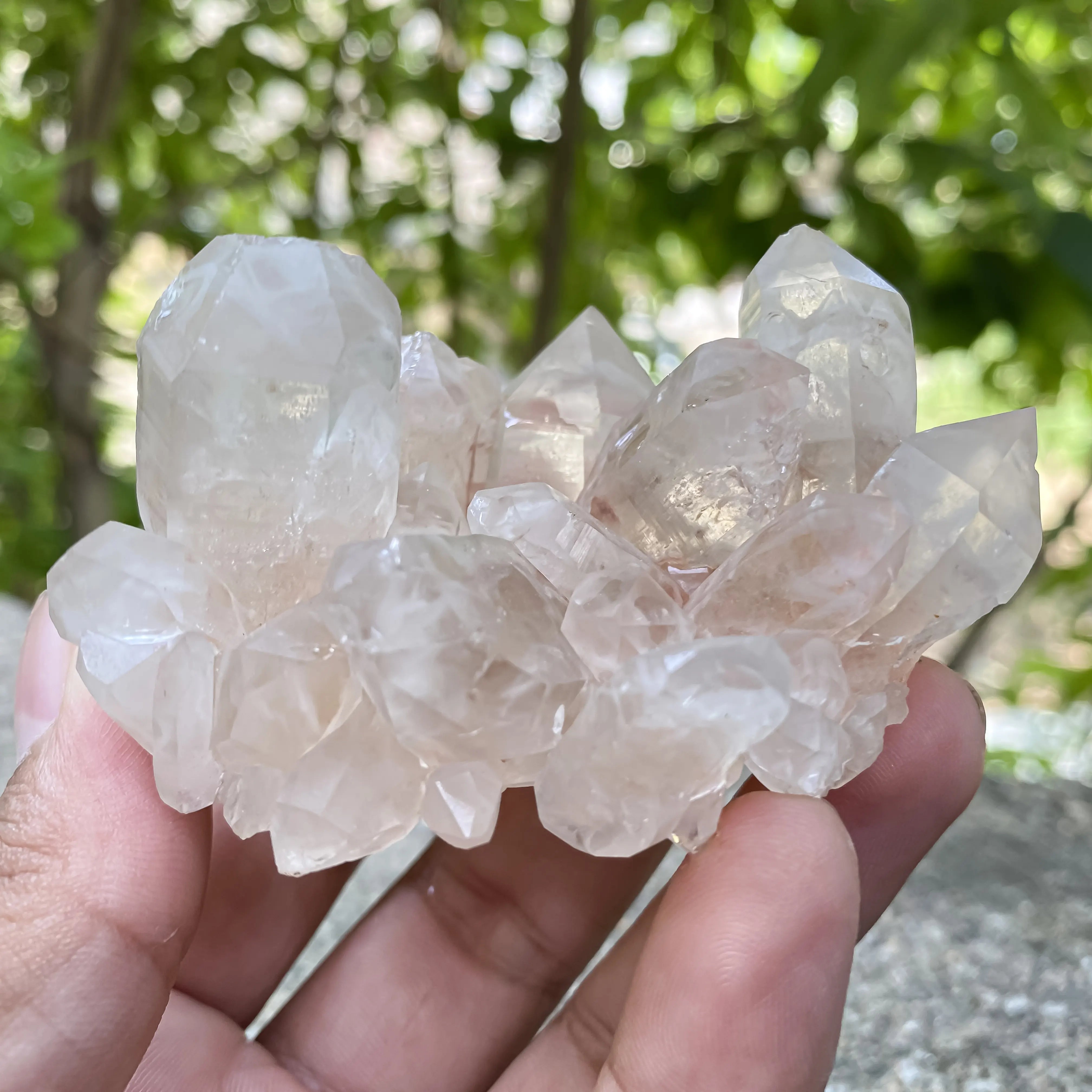 Natural Himalayan Pink Quartz Cluster 175g Healing Crystal Meditation