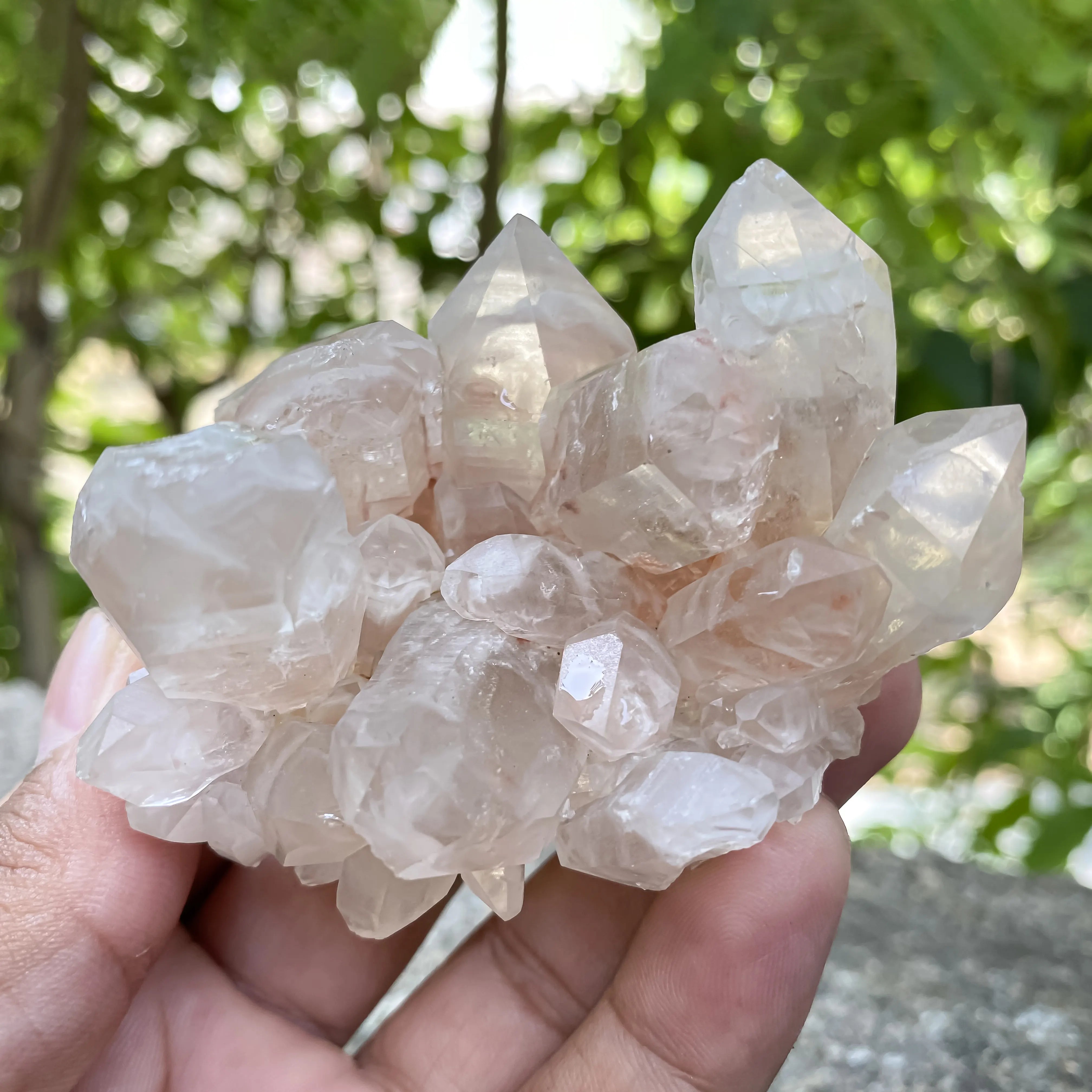 Natural Himalayan Pink Quartz Cluster 175g Healing Crystal Meditation