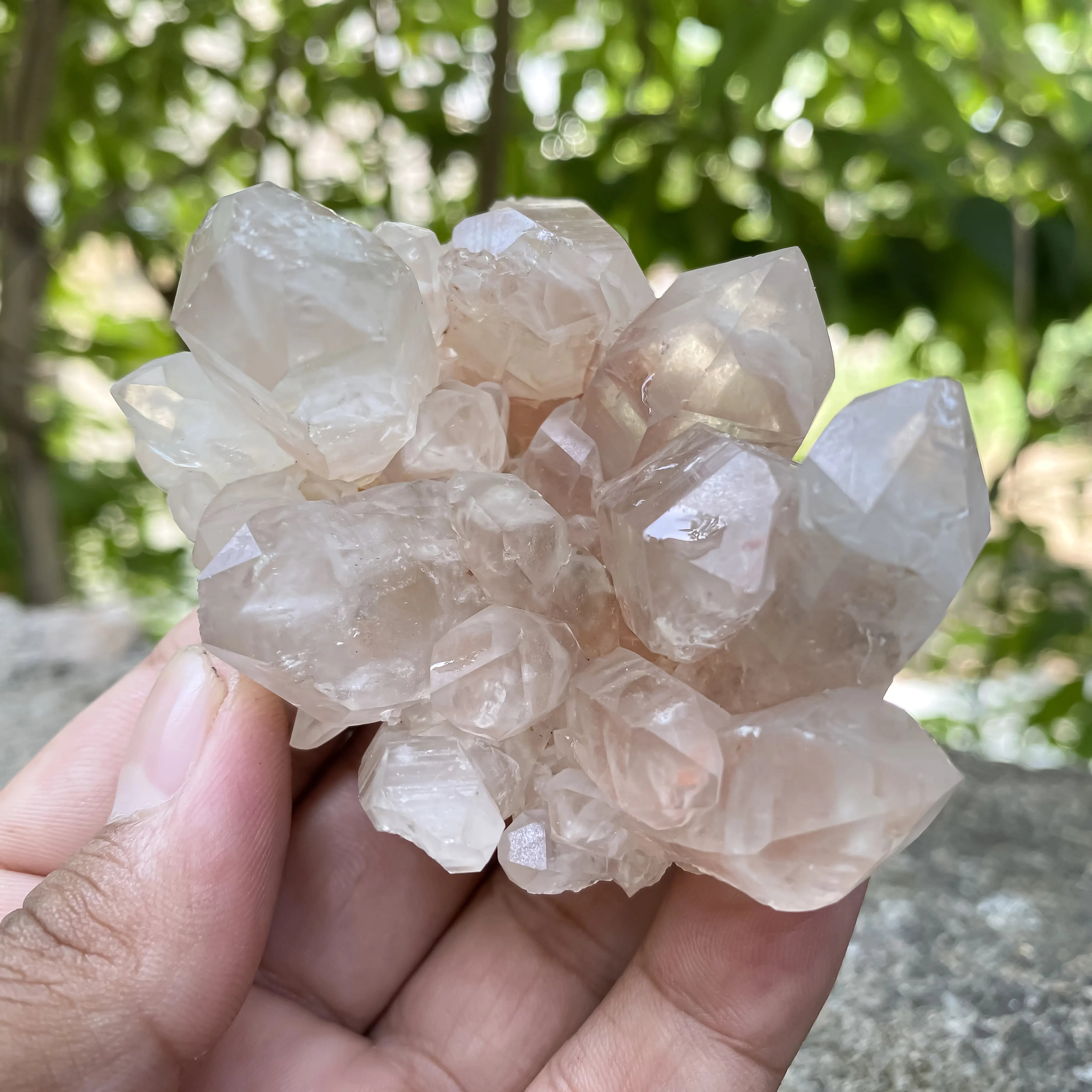 Natural Himalayan Pink Quartz Cluster 175g Healing Crystal Meditation