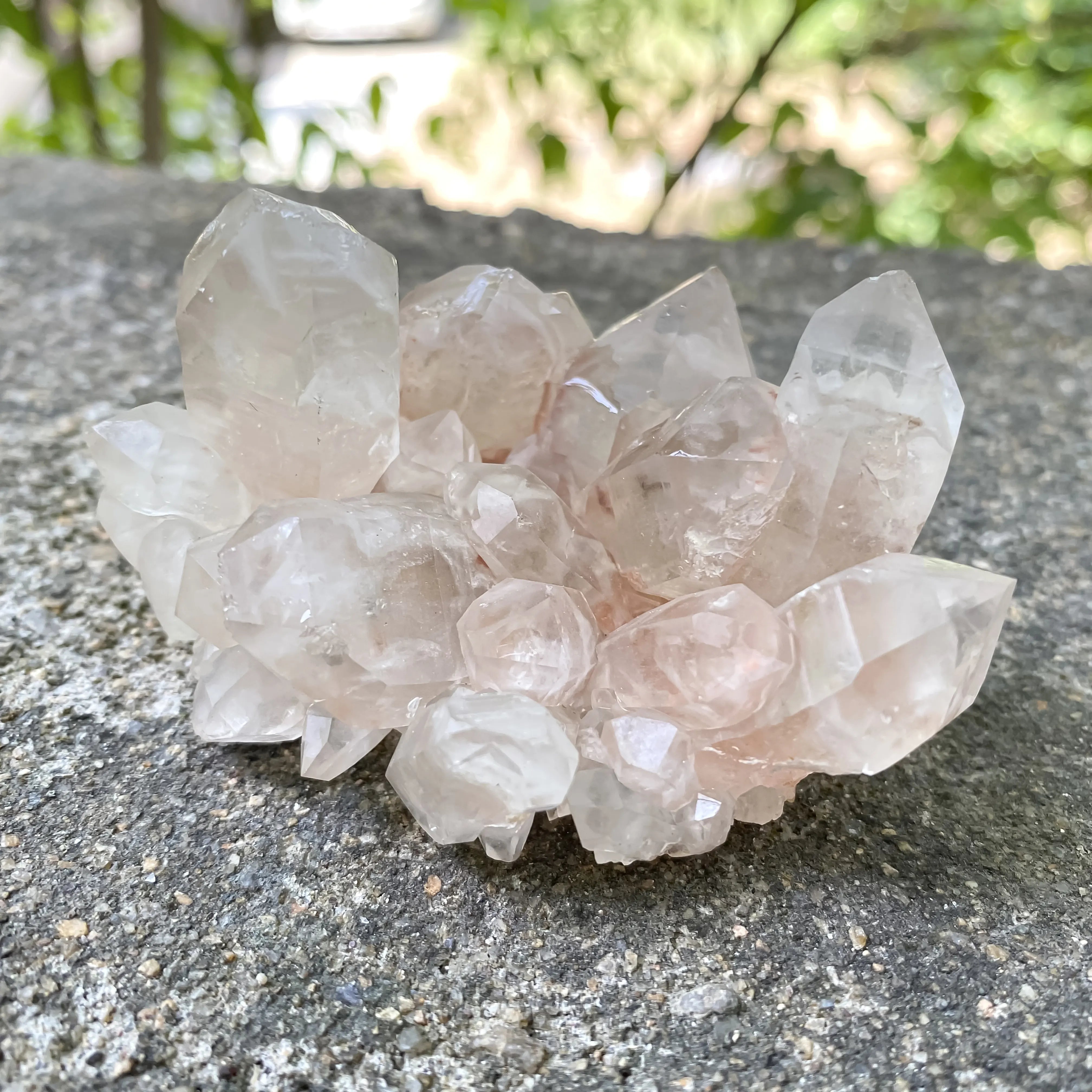 Natural Himalayan Pink Quartz Cluster 175g Healing Crystal Meditation