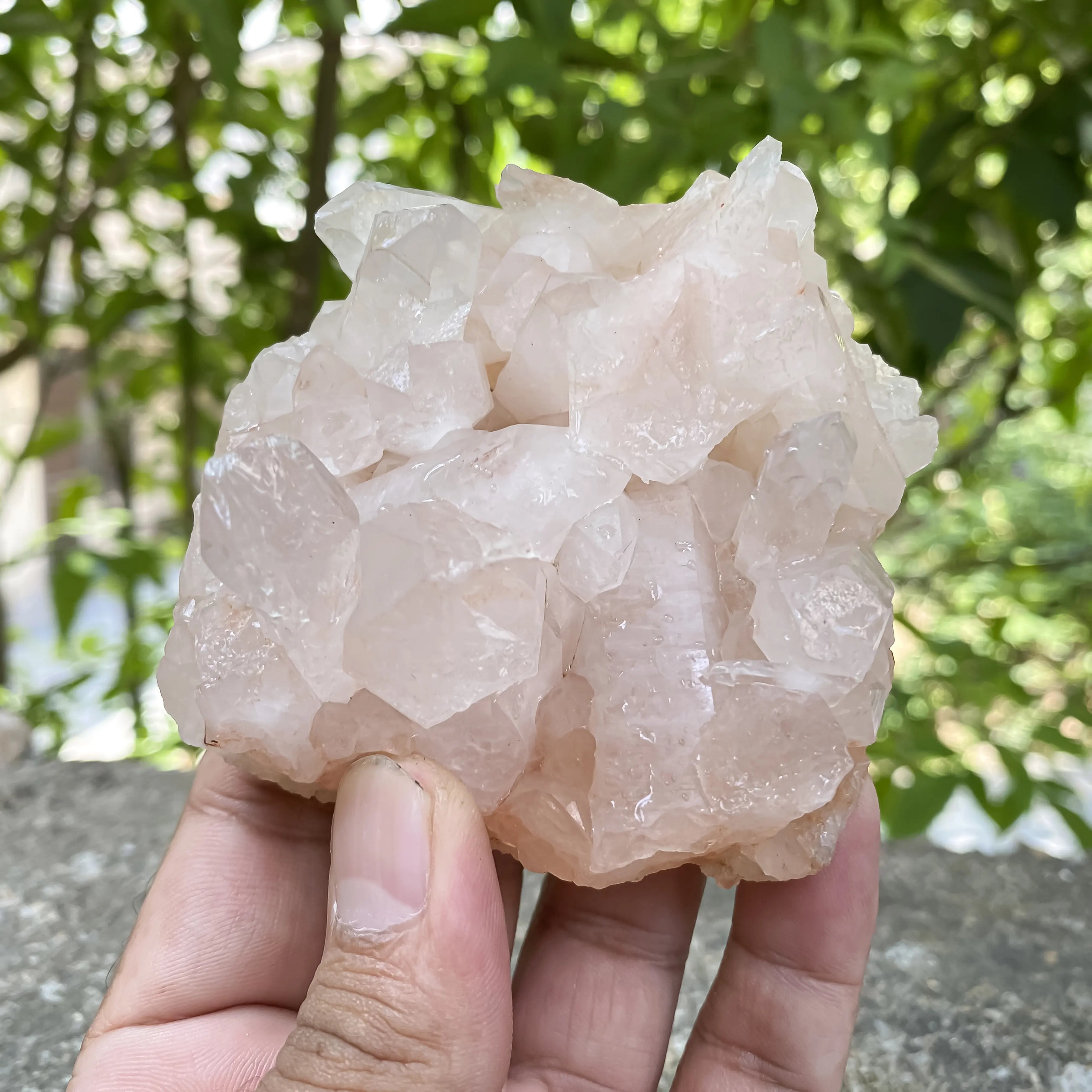 Natural Himalayan Pink Quartz Cluster 285g Healing Crystal