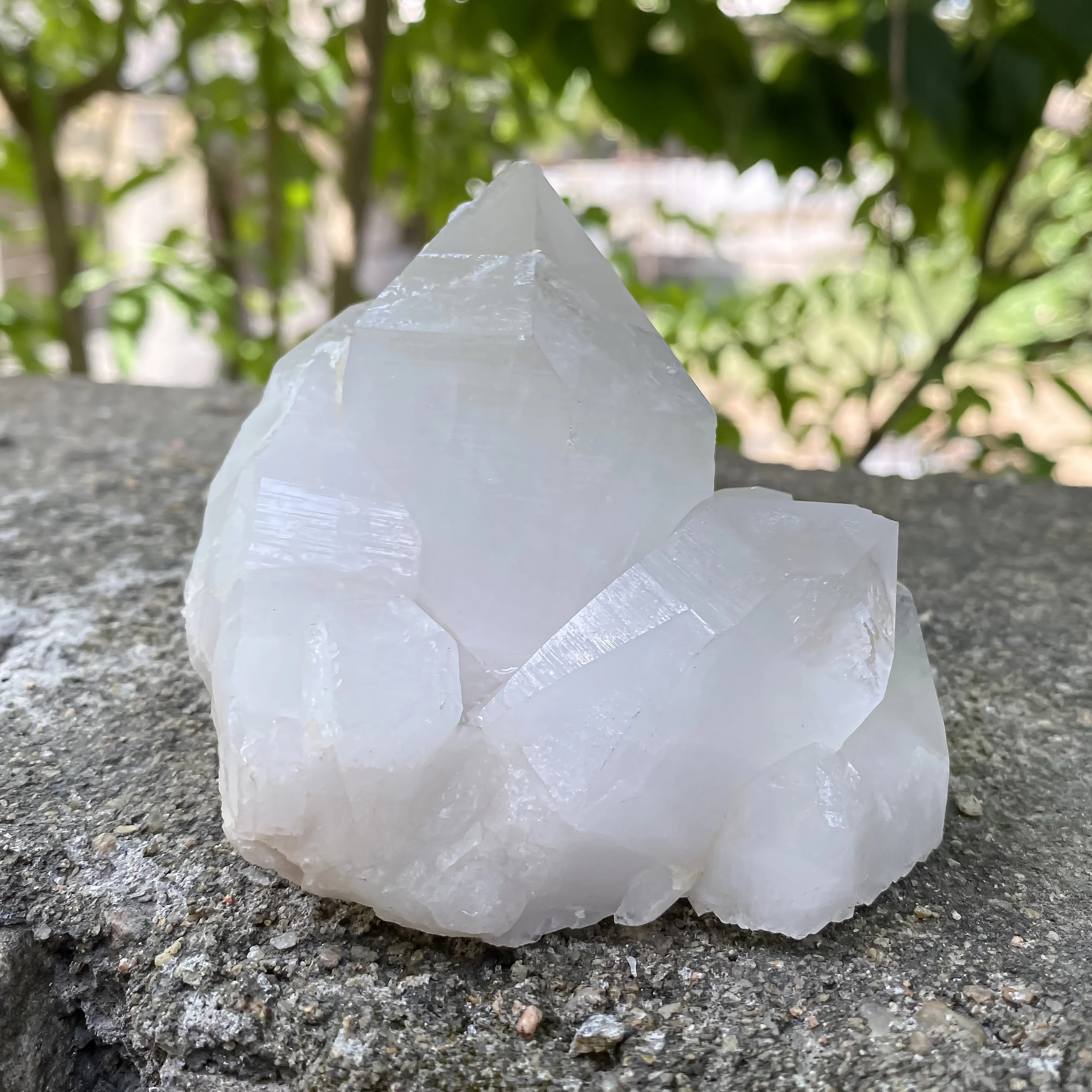 Natural Himalayan White Quartz Cluster 355g Master Healer