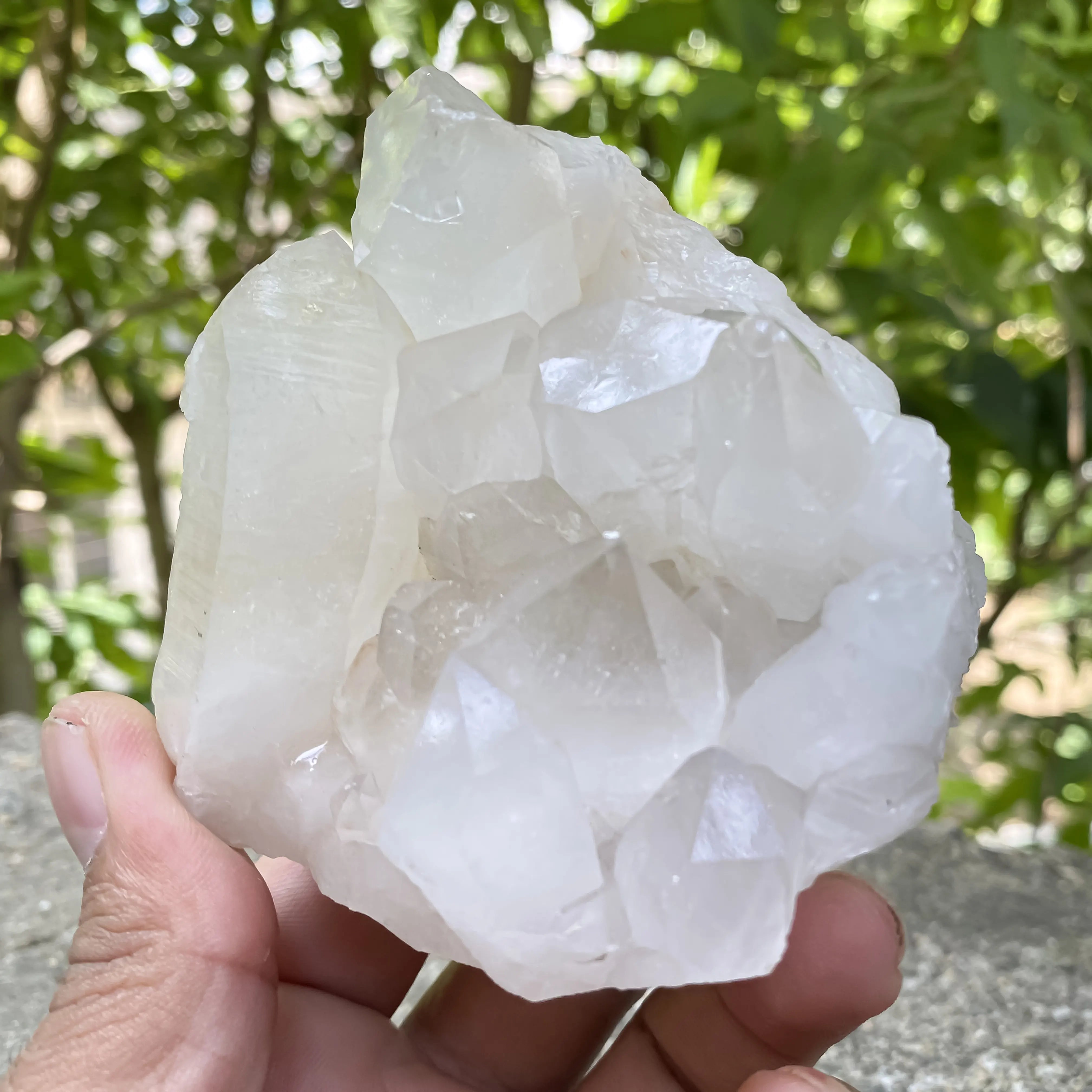 Natural Himalayan White Quartz Cluster 450g Master Healer Crystal