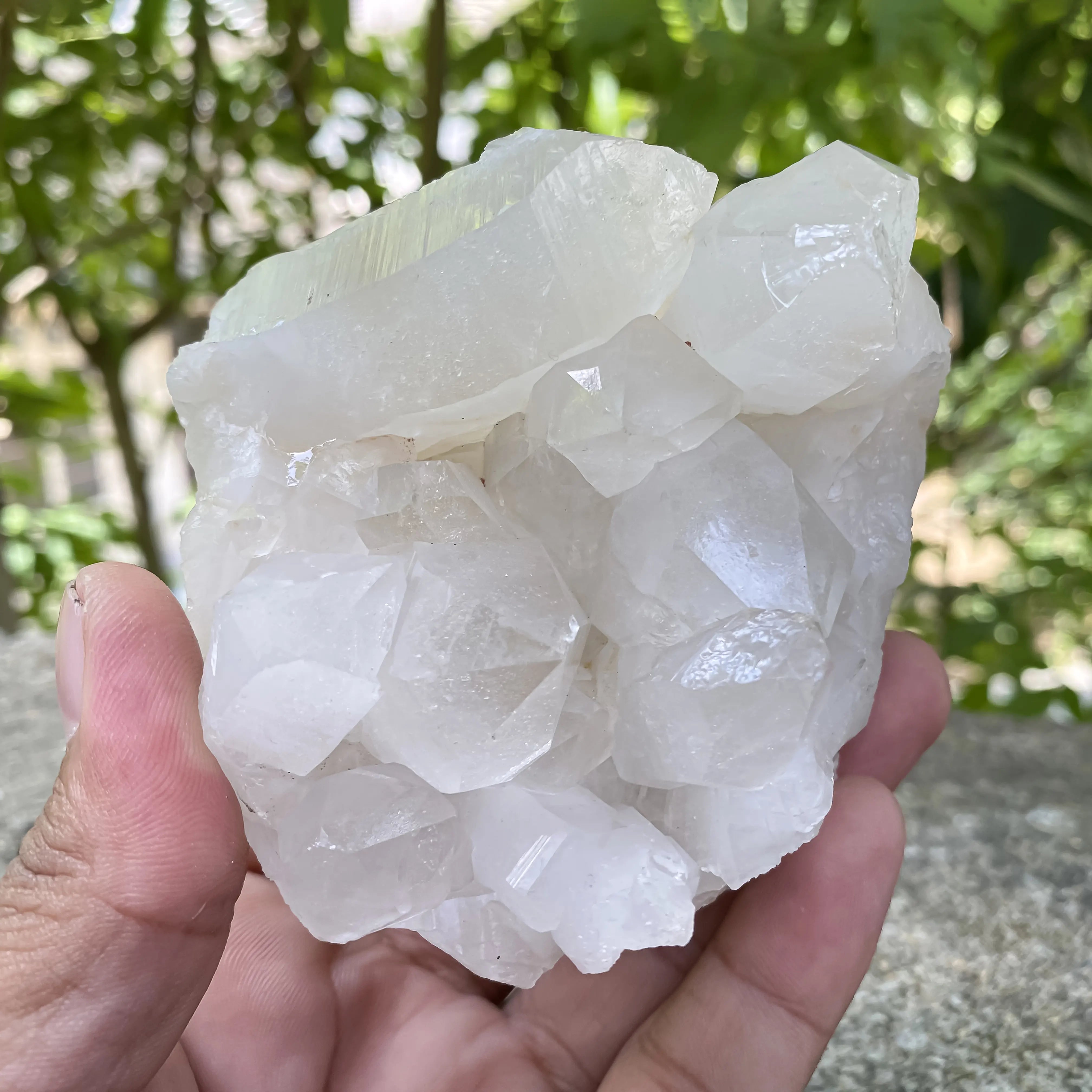 Natural Himalayan White Quartz Cluster 450g Master Healer Crystal