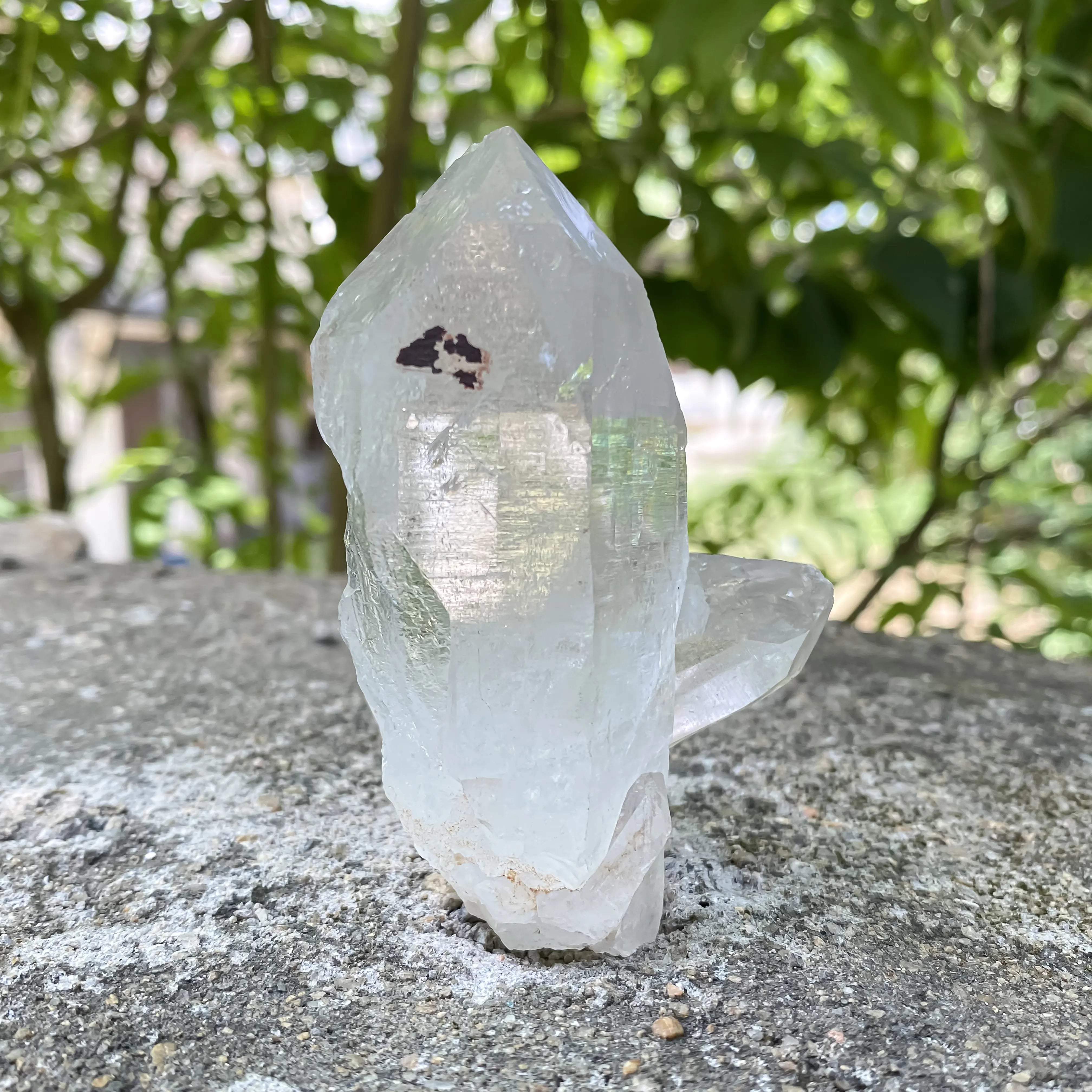 Natural Himalayan Clear Quartz Cluster 200g Master Healer