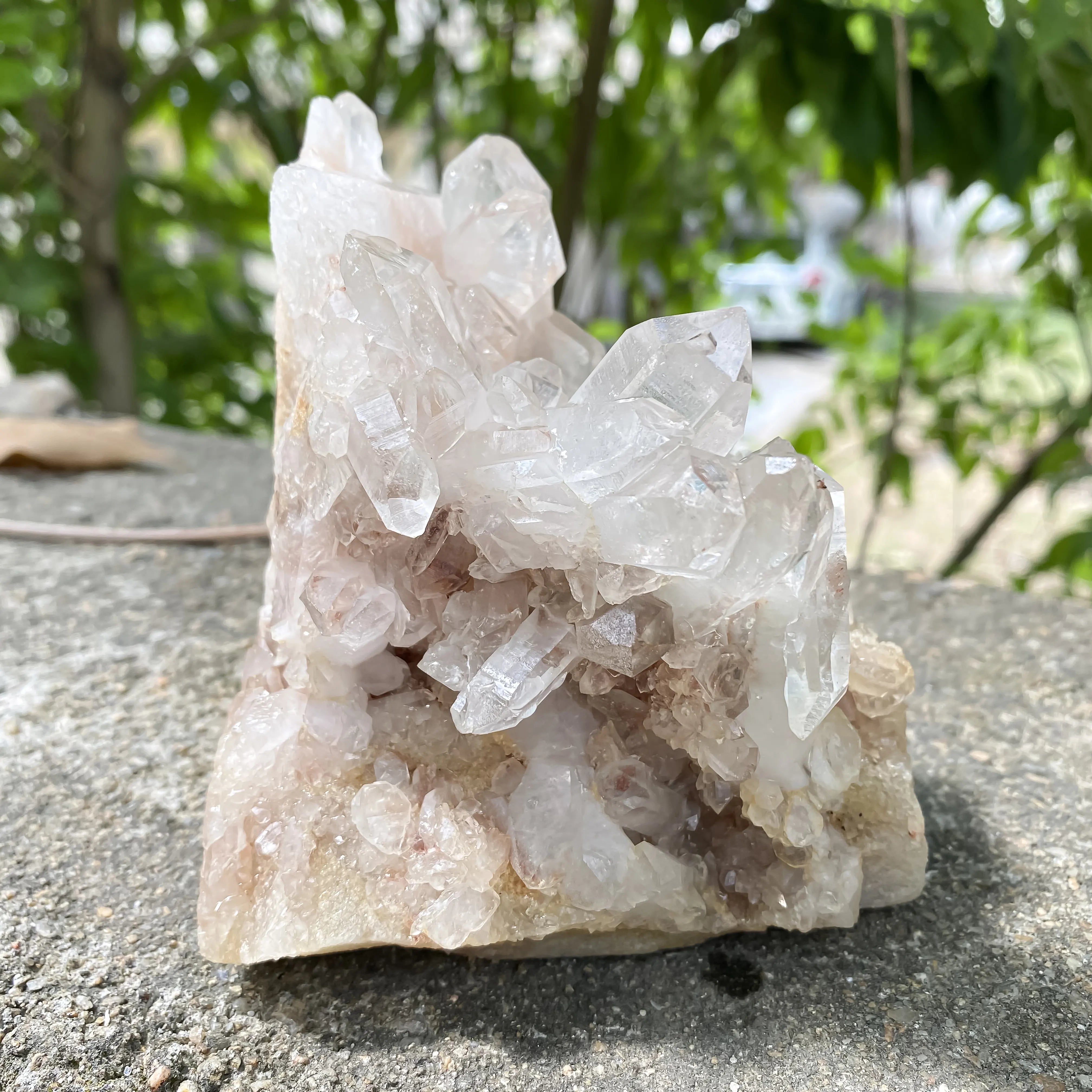 Natural Himalayan Pink Quartz Cluster 720g Dog Shape Healing Crystal