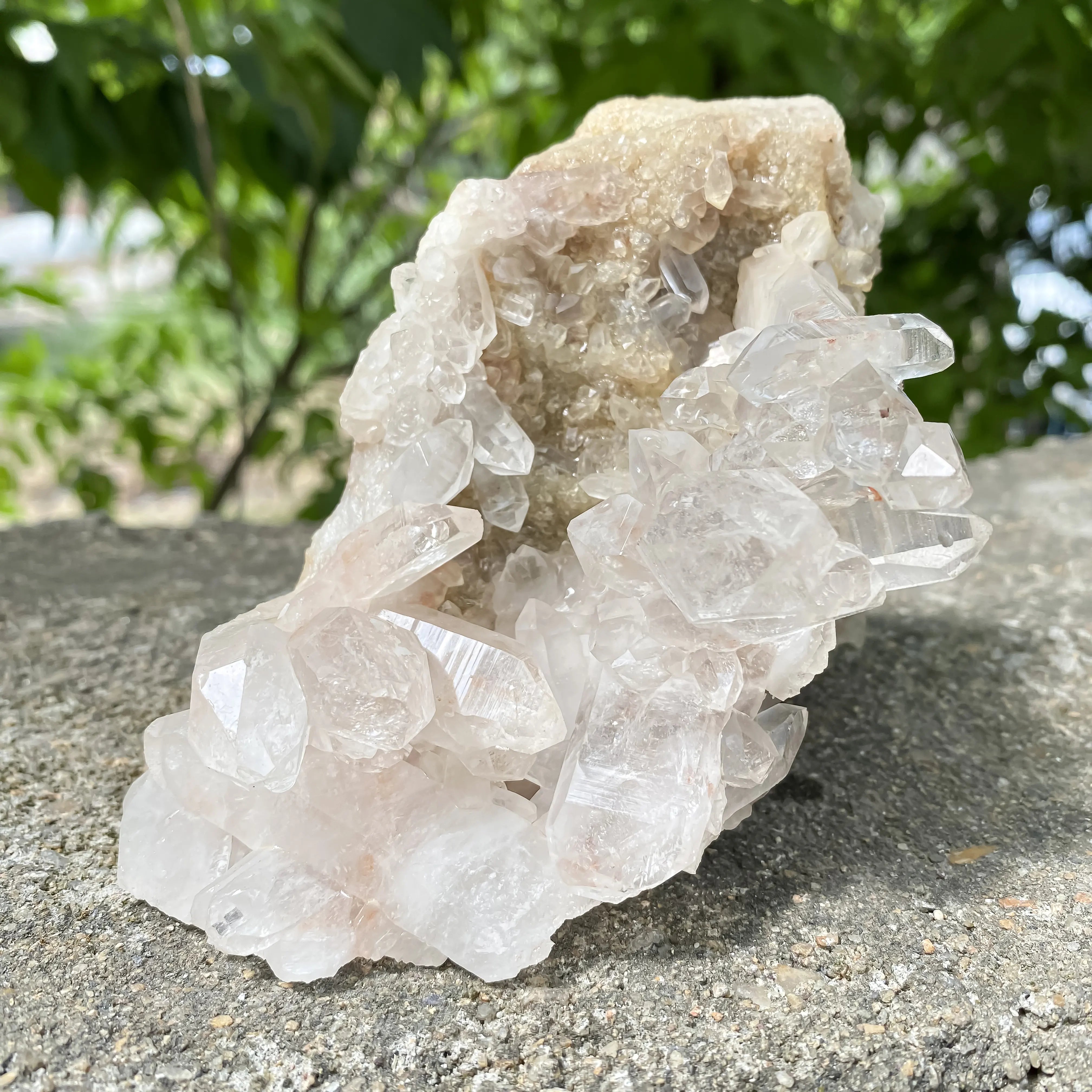 Natural Himalayan Pink Quartz Cluster 720g Dog Shape Healing Crystal