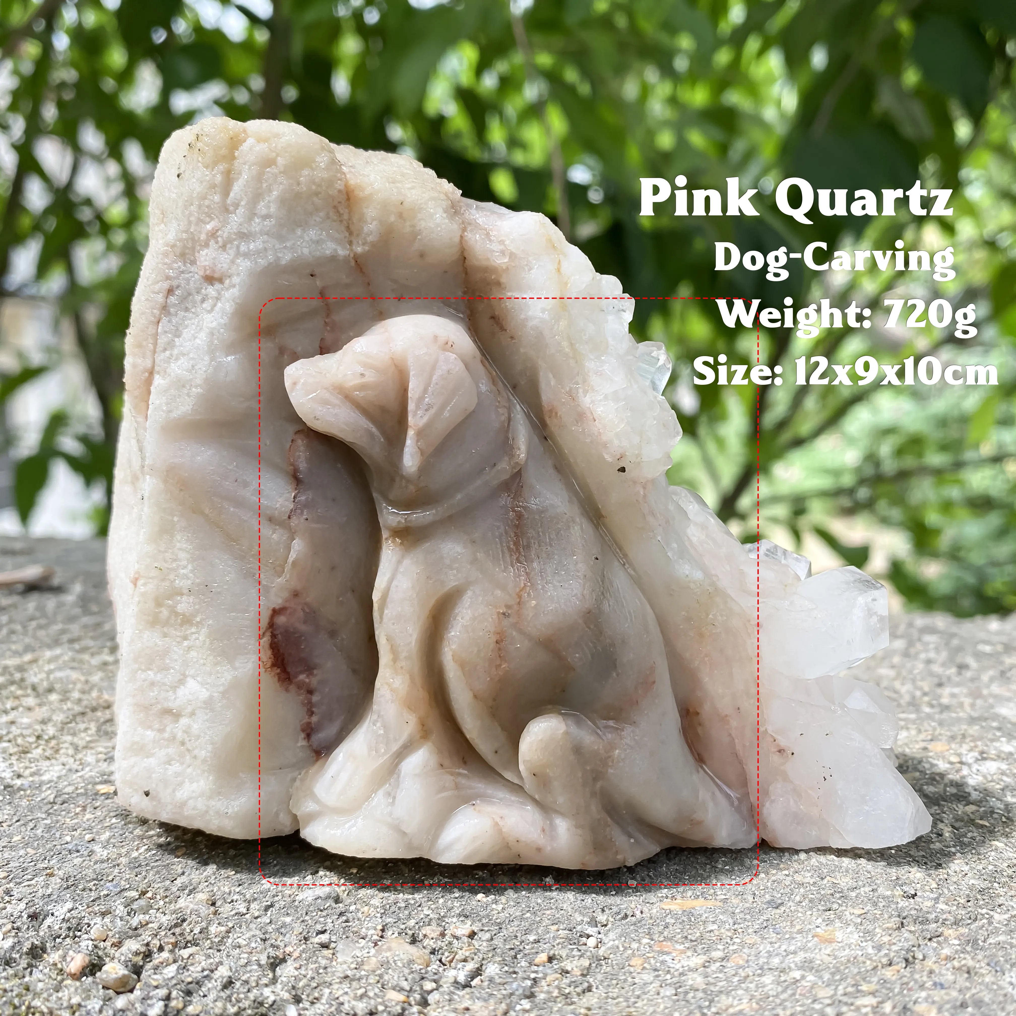 Natural Himalayan Pink Quartz Cluster 720g Dog Shape Healing Crystal