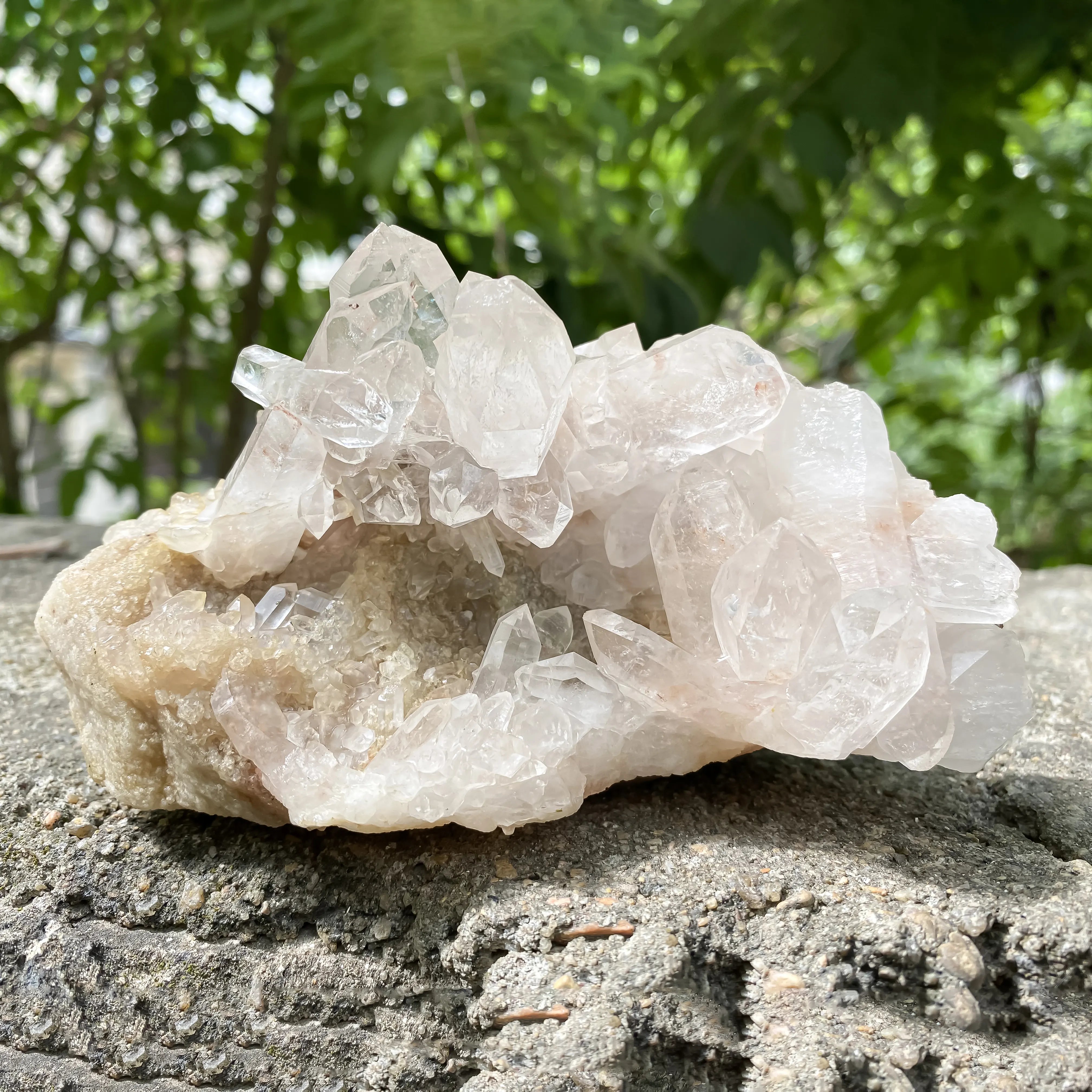 Natural Himalayan Pink Quartz Cluster 720g Dog Shape Healing Crystal