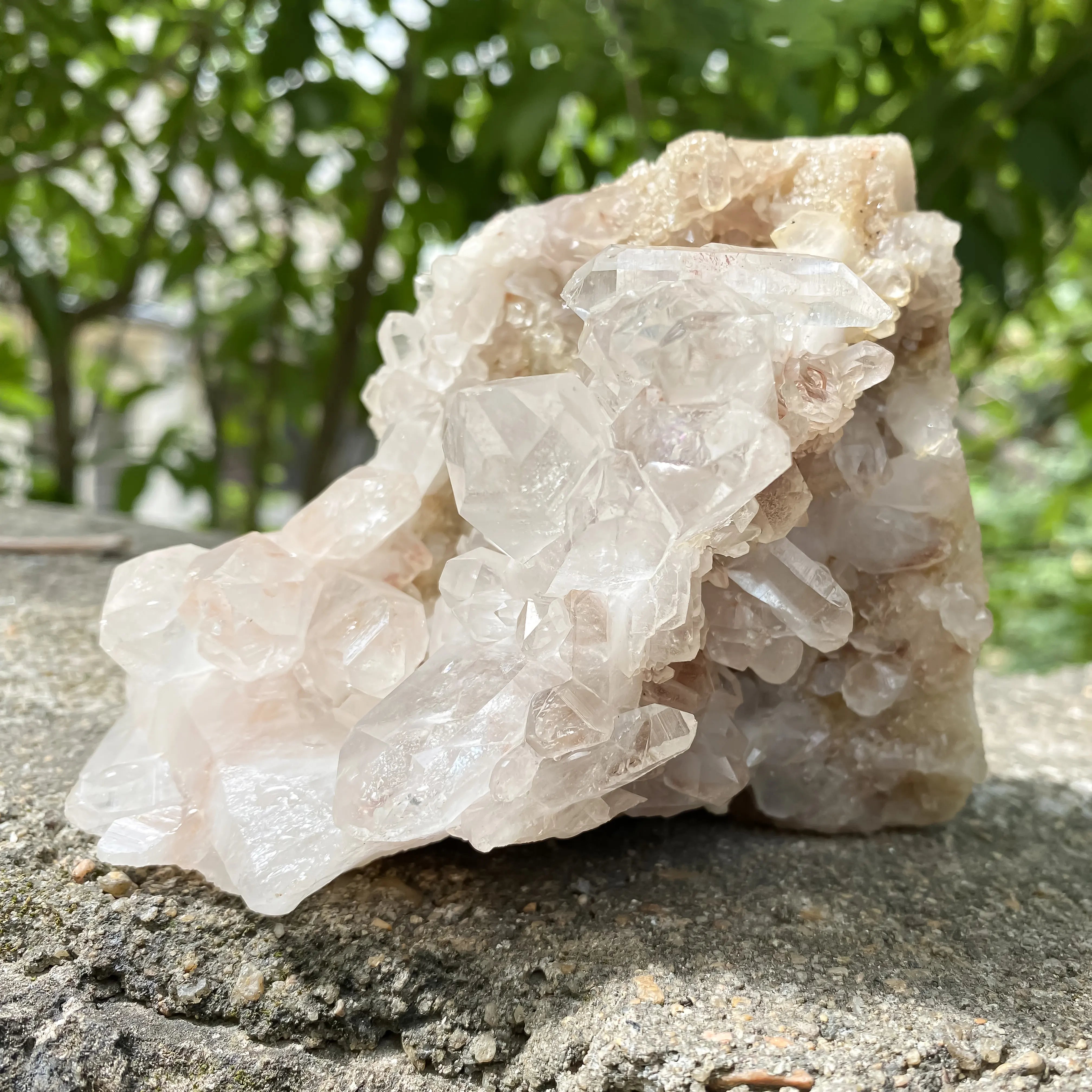 Natural Himalayan Pink Quartz Cluster 720g Dog Shape Healing Crystal