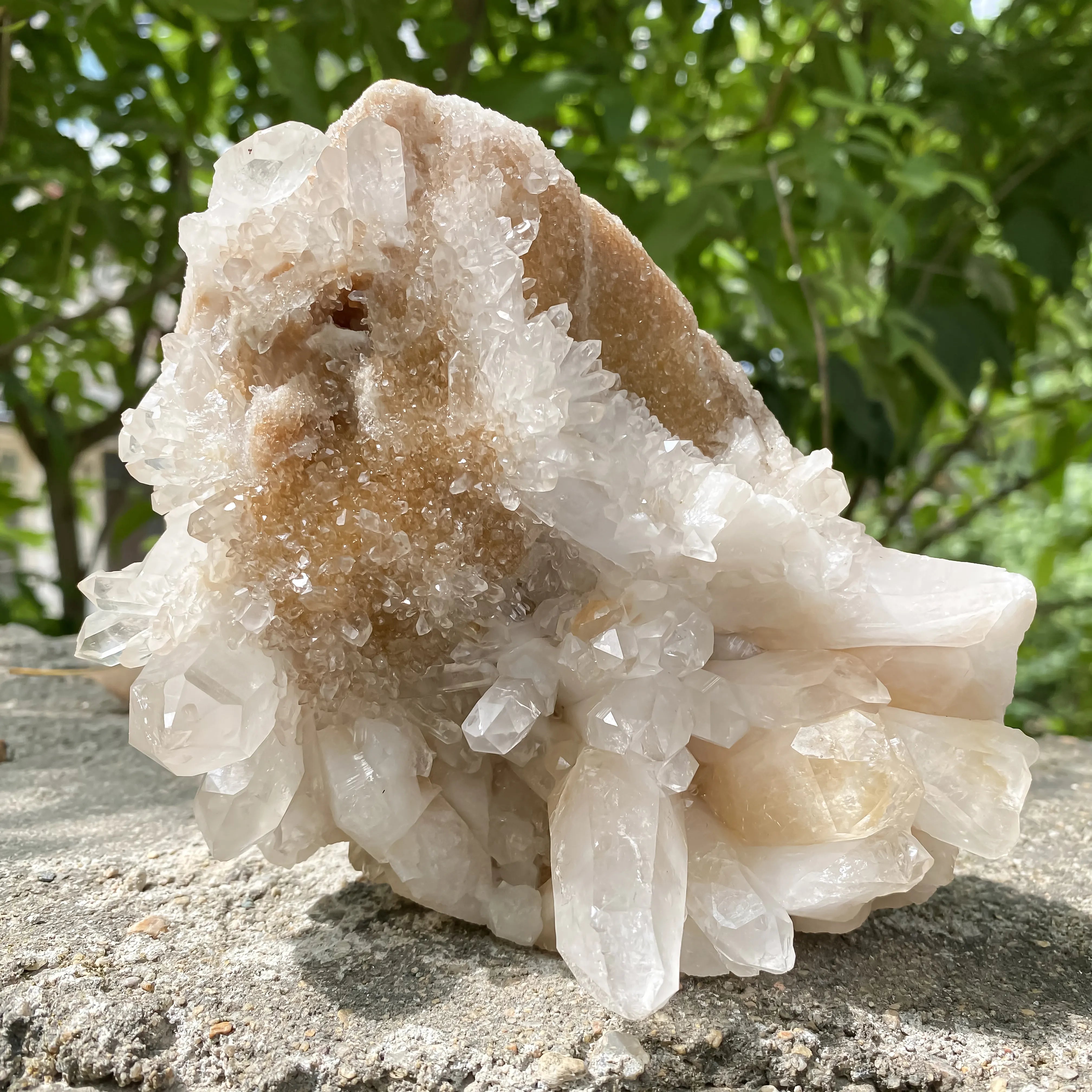 Natural Himalayan Yellow Quartz Cluster 1120g Eagle Shape Healing Crystal