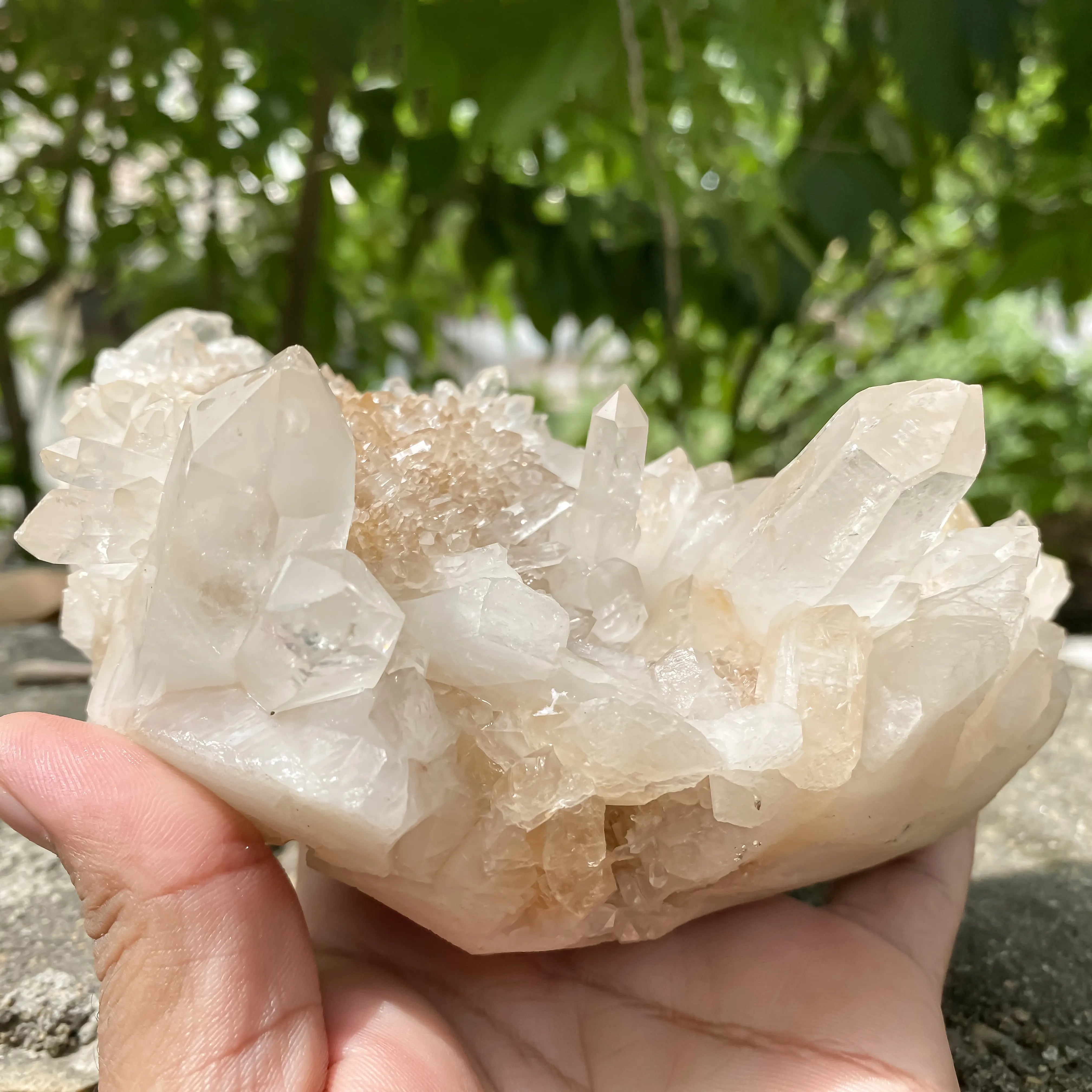 Natural Himalayan Yellow Quartz Cluster 1120g Eagle Shape Healing Crystal
