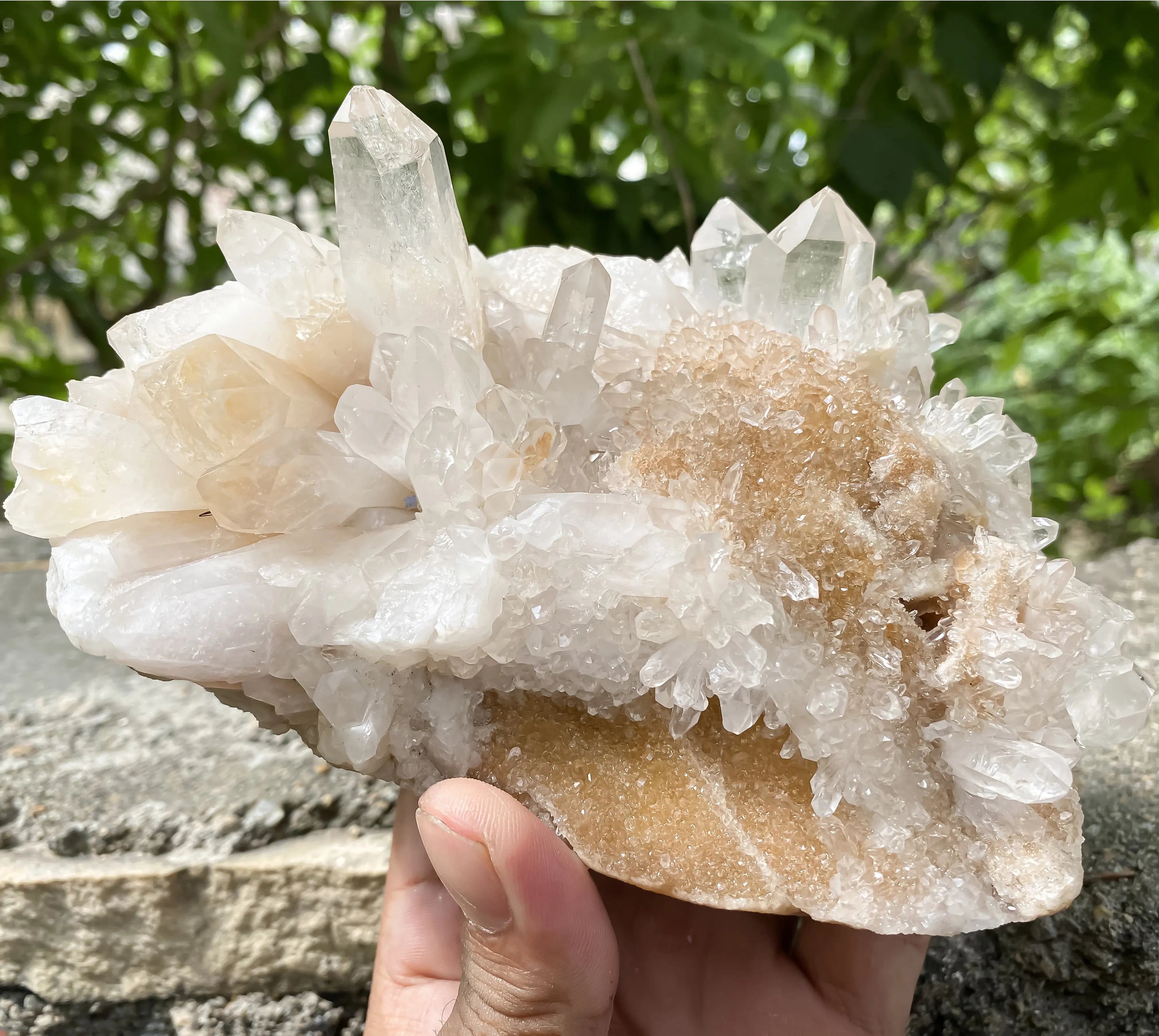 Natural Himalayan Yellow Quartz Cluster 1120g Eagle Shape Healing Crystal