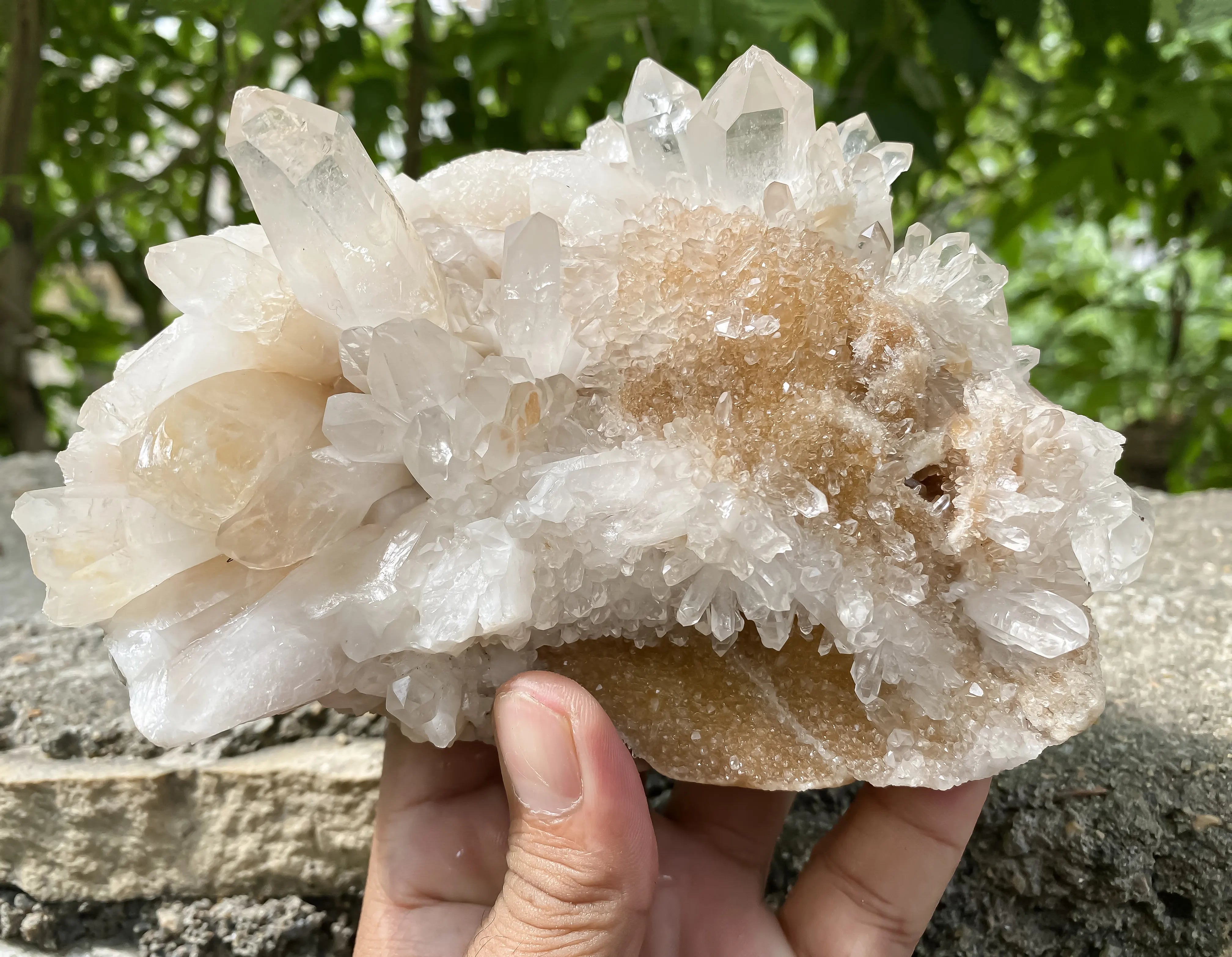 Natural Himalayan Yellow Quartz Cluster 1120g Eagle Shape Healing Crystal