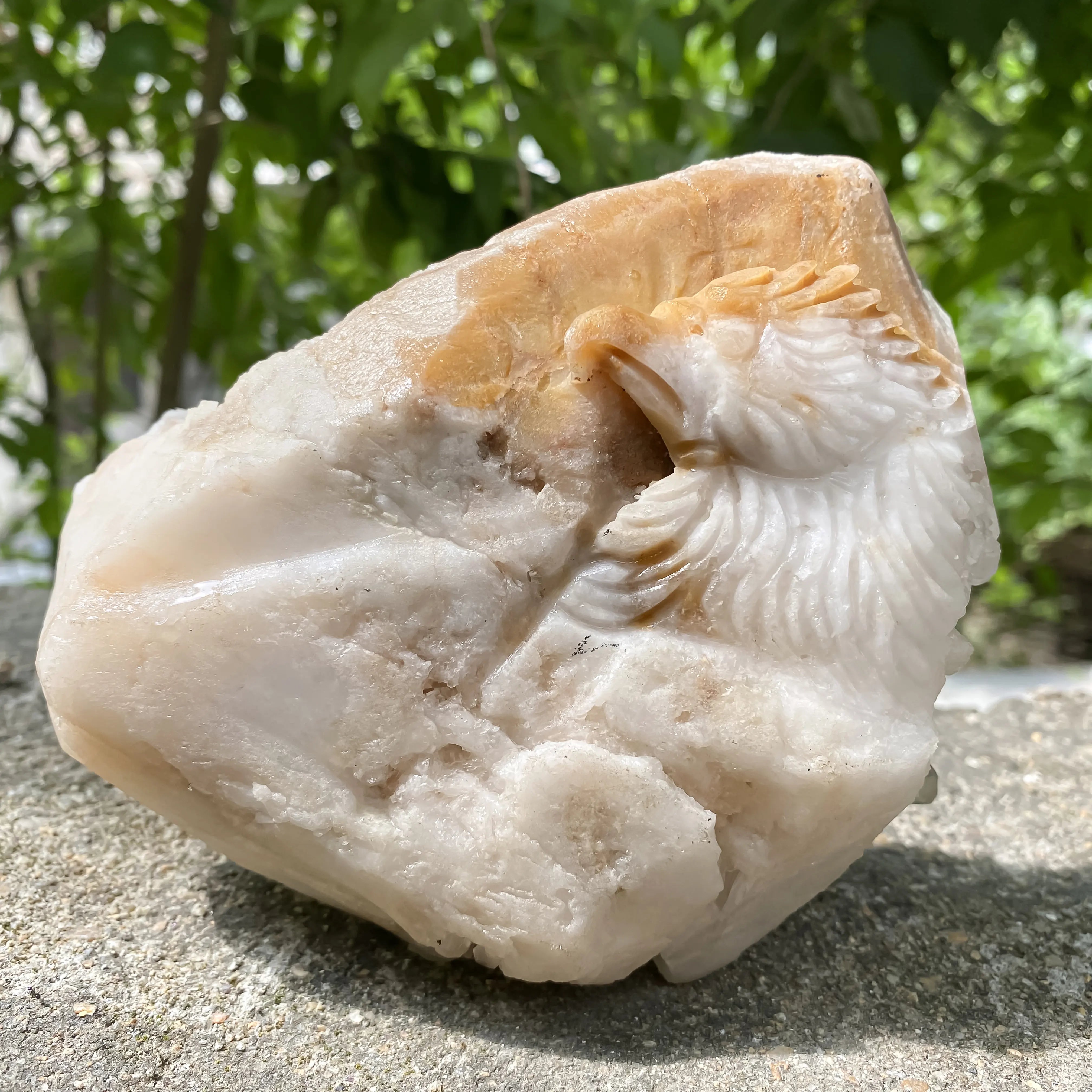 Natural Himalayan Yellow Quartz Cluster 1120g Eagle Shape Healing Crystal