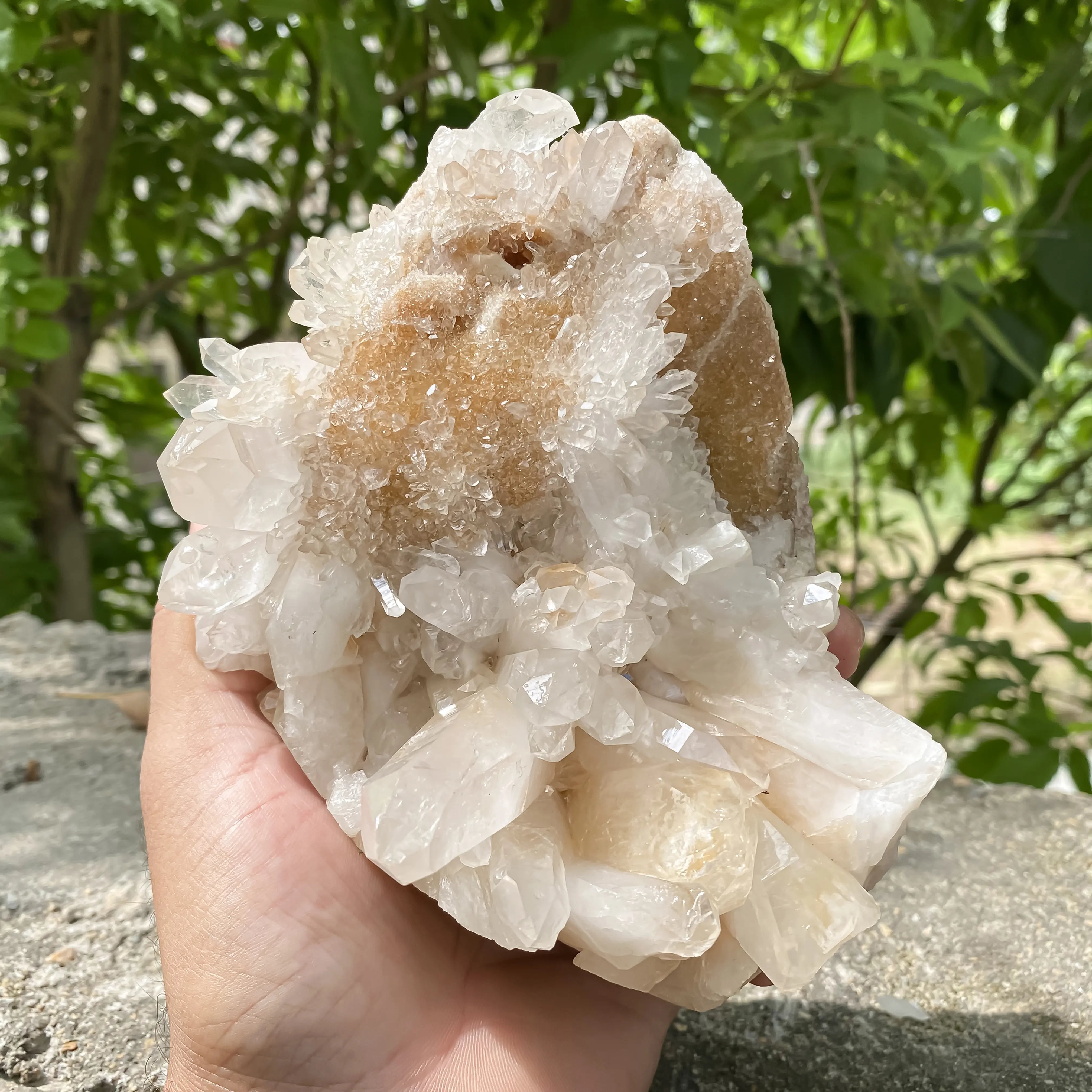 Natural Himalayan Yellow Quartz Cluster 1120g Eagle Shape Healing Crystal