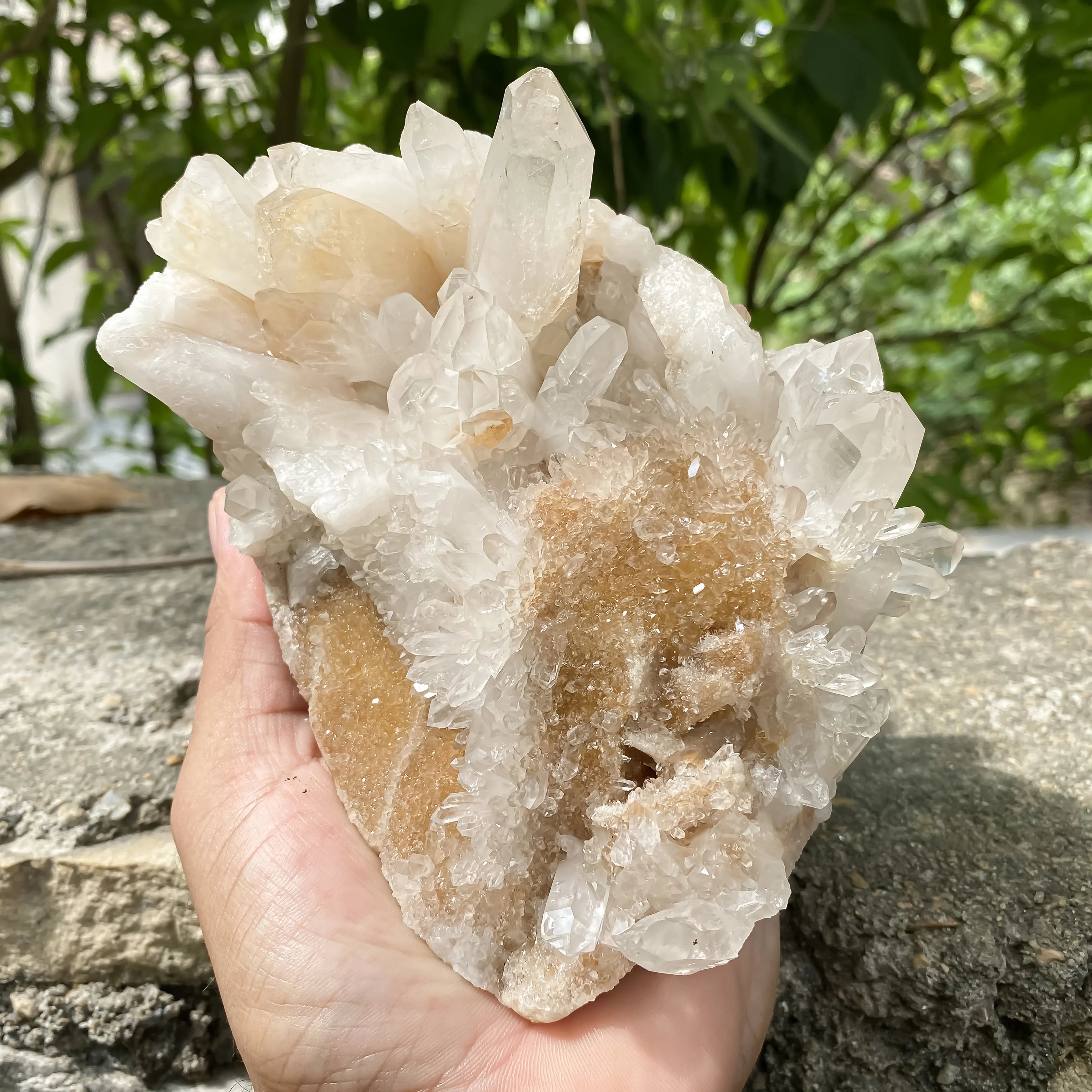 Natural Himalayan Yellow Quartz Cluster 1120g Eagle Shape Healing Crystal