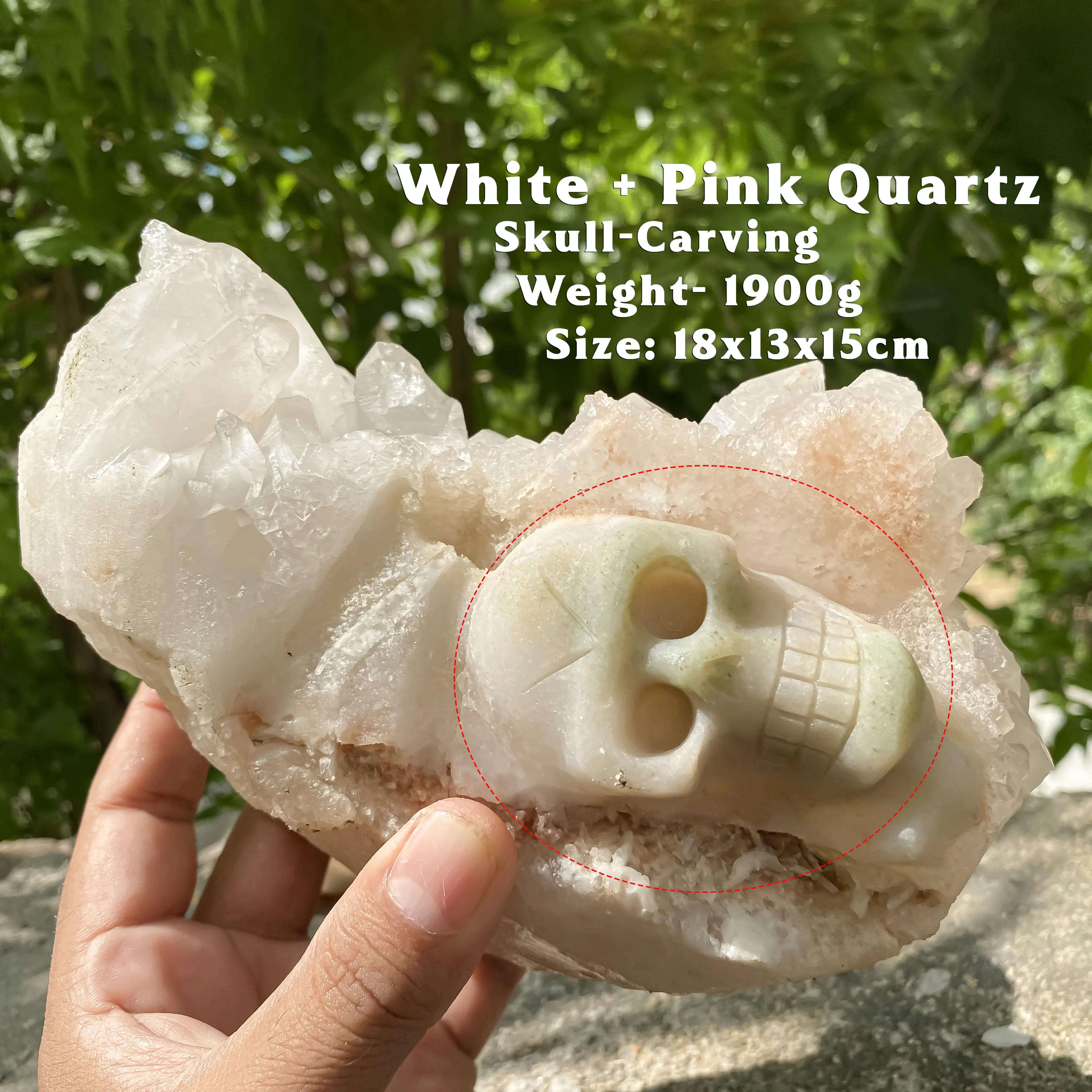 Himalayan White and Pink Quartz Cluster 1900g Skull Shape Healing Crystal