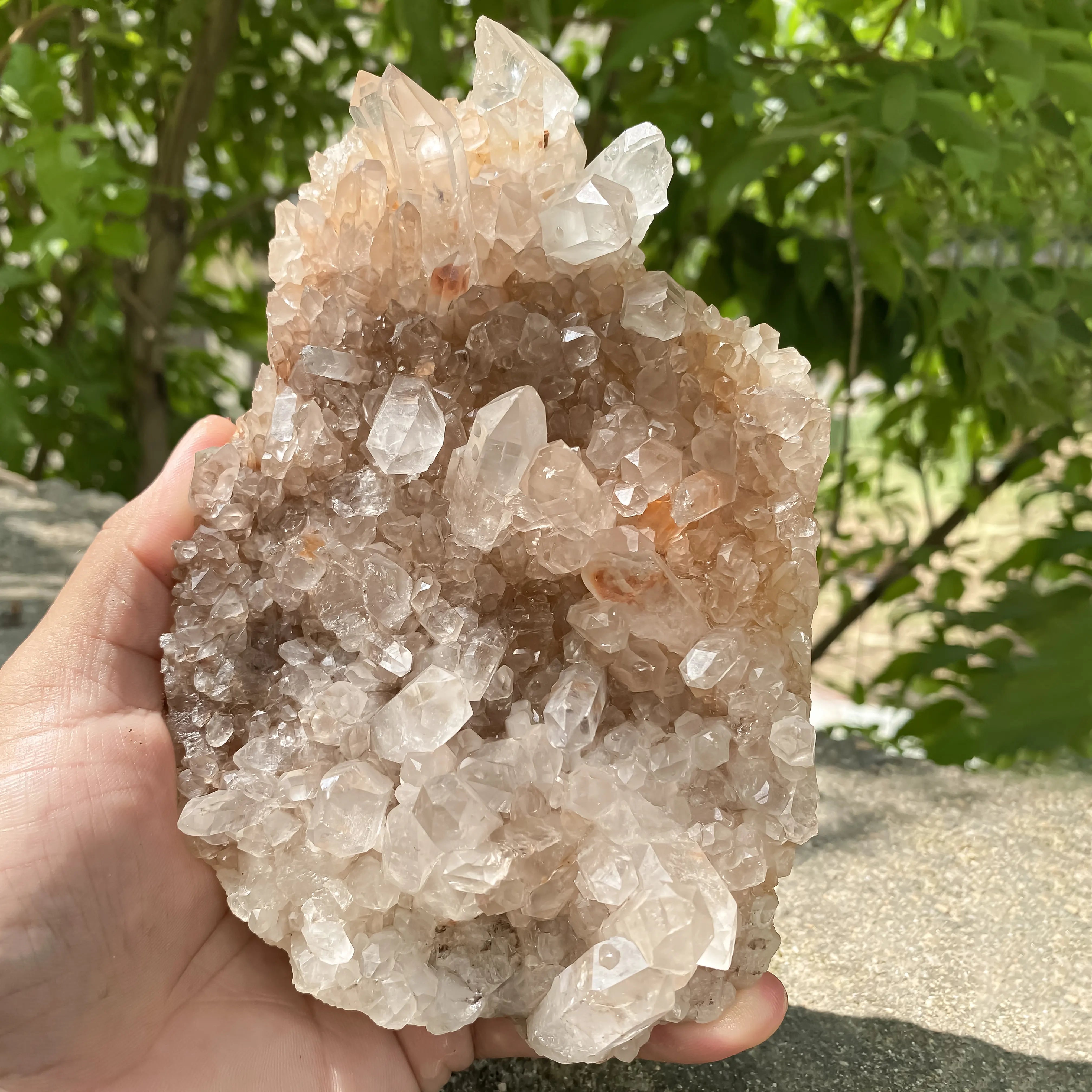 Natural Himalayan Pink Quartz Cluster 860g Eagle Shape Healing Crystal