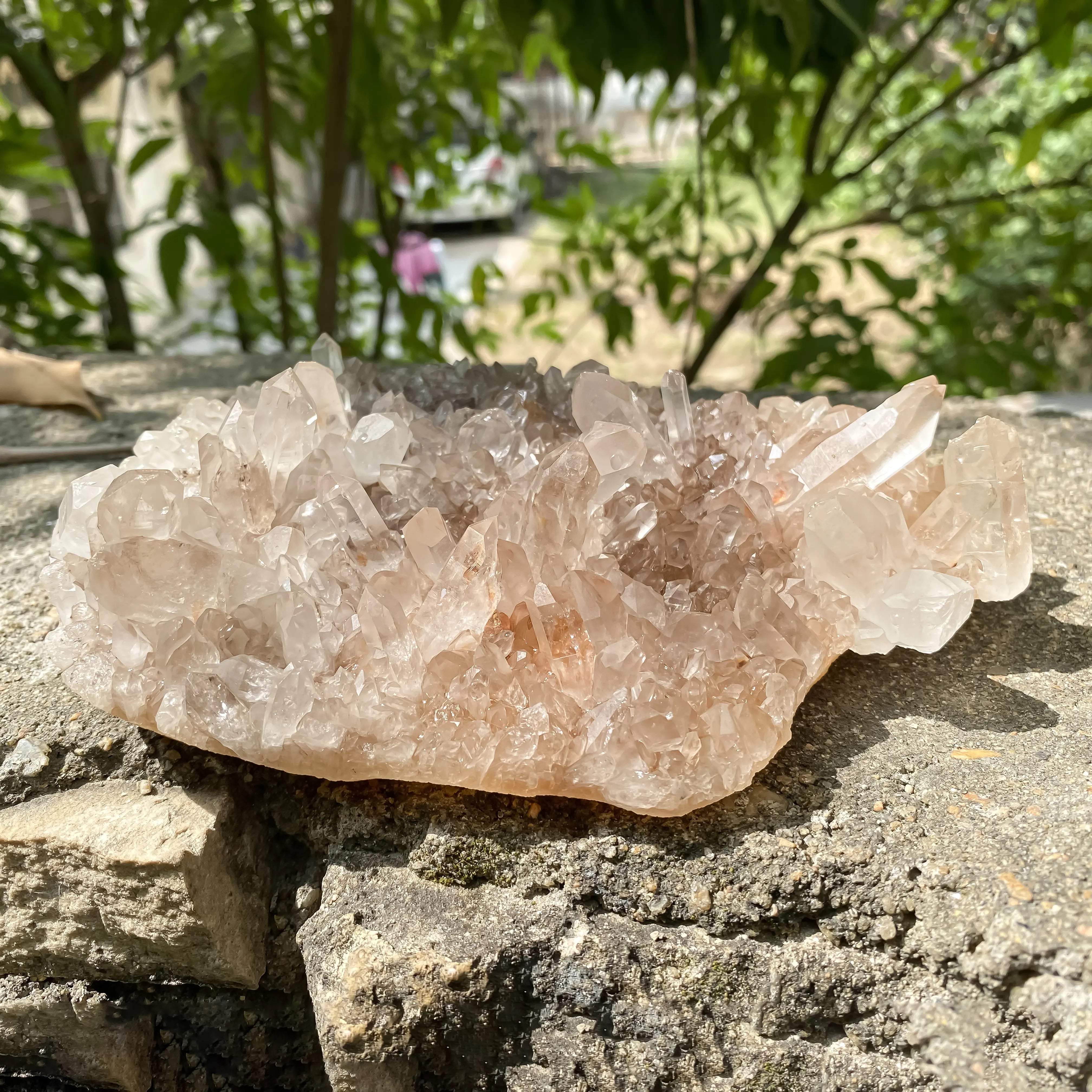 Natural Himalayan Pink Quartz Cluster 860g Eagle Shape Healing Crystal