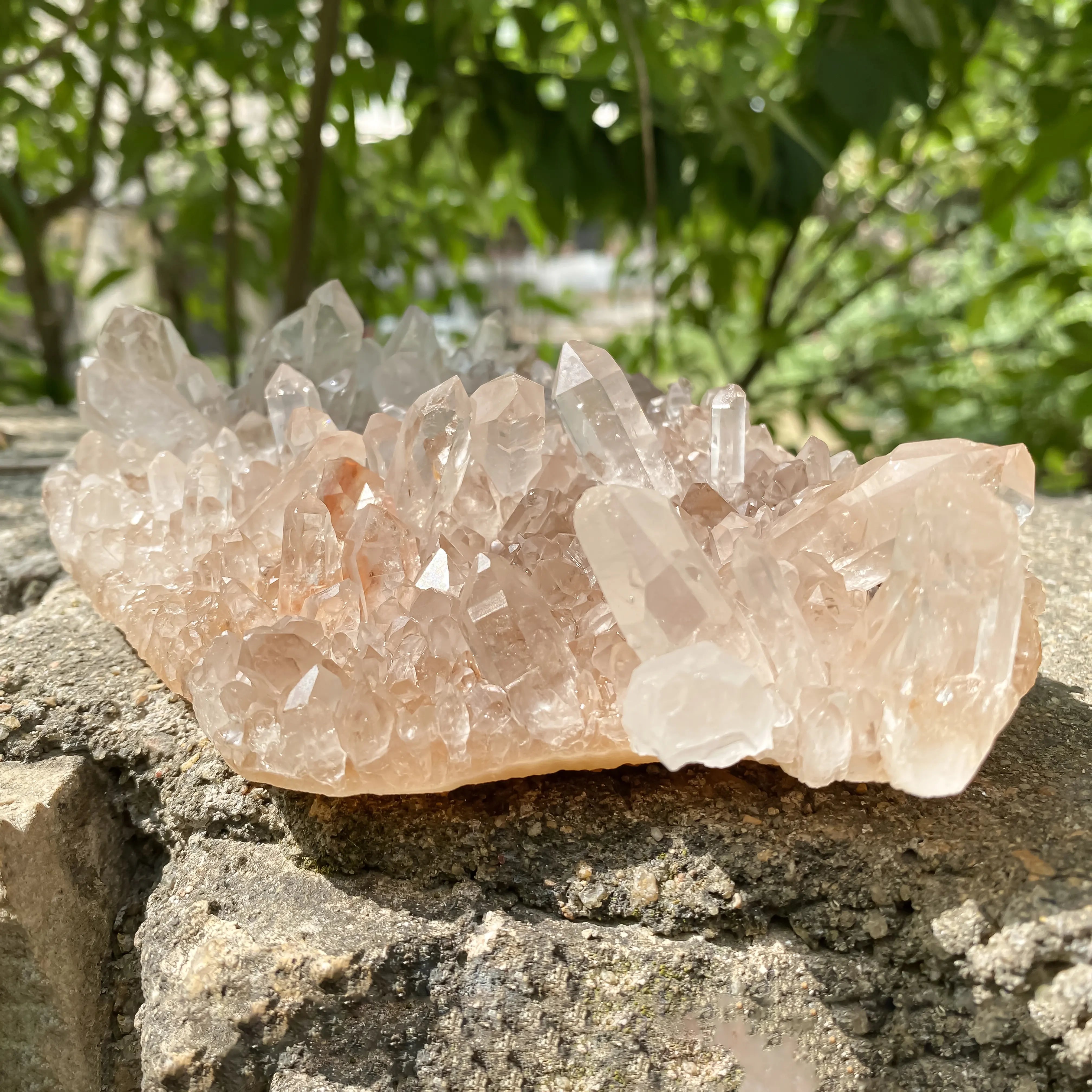 Natural Himalayan Pink Quartz Cluster 860g Eagle Shape Healing Crystal