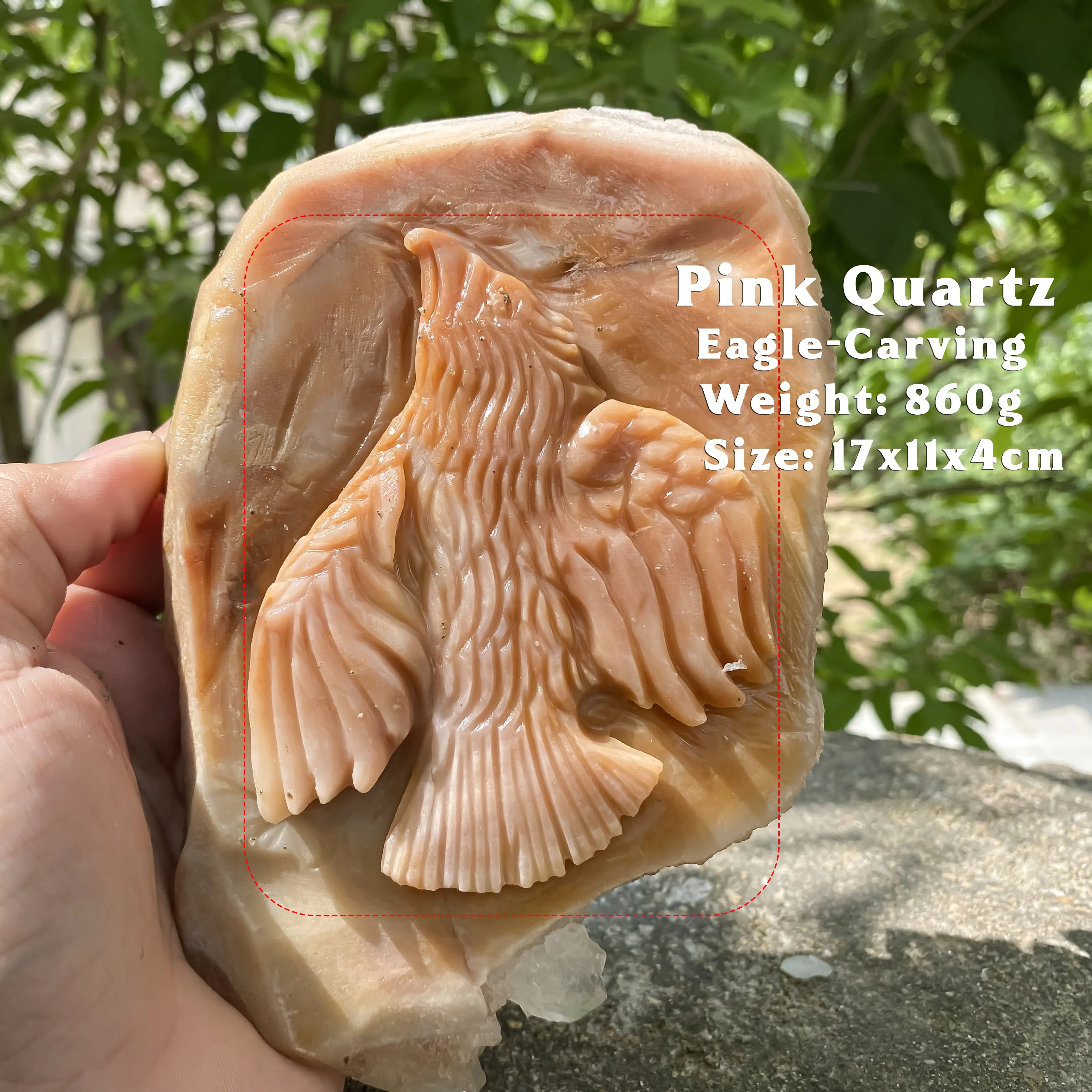 Natural Himalayan Pink Quartz Cluster 860g Eagle Shape Healing Crystal