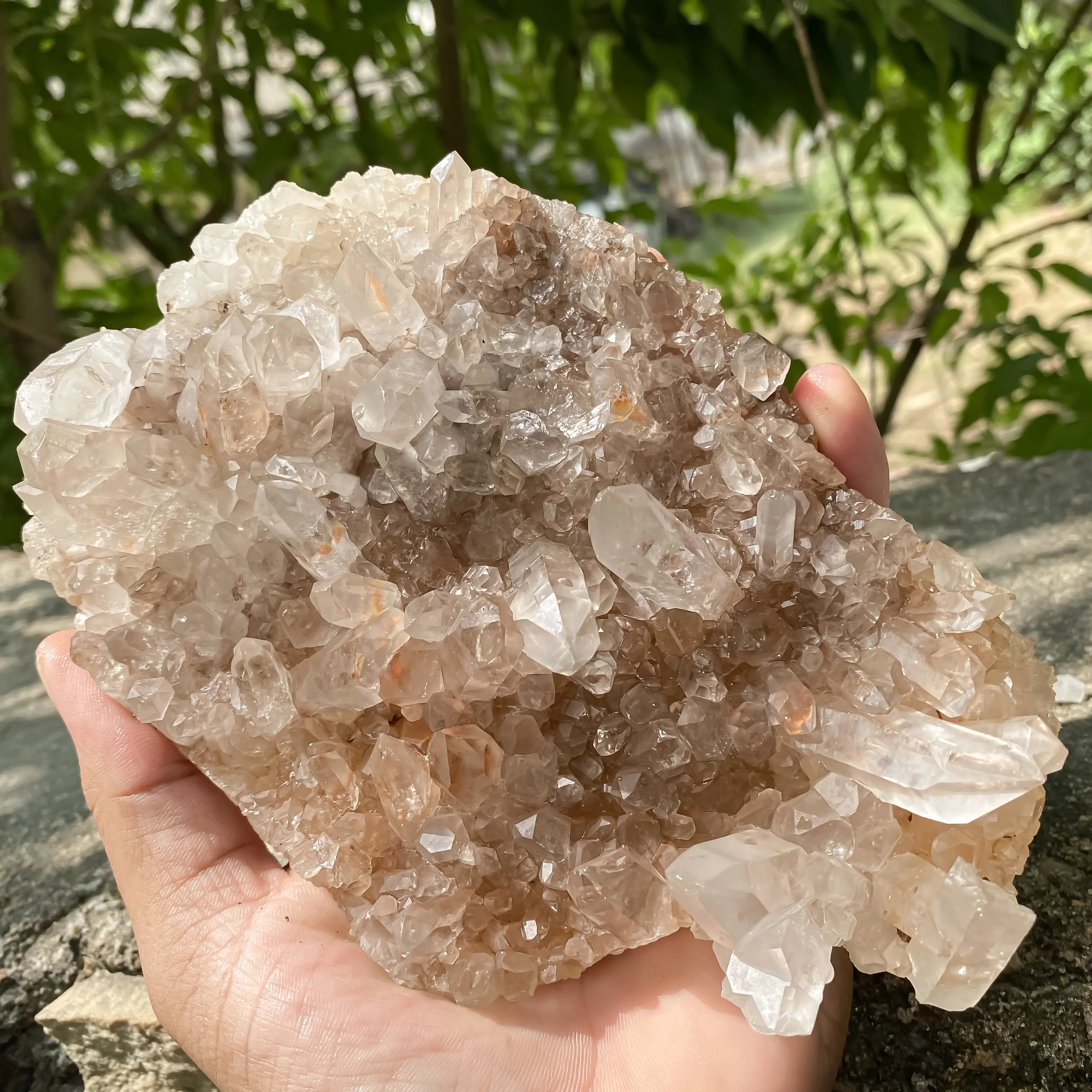 Natural Himalayan Pink Quartz Cluster 860g Eagle Shape Healing Crystal