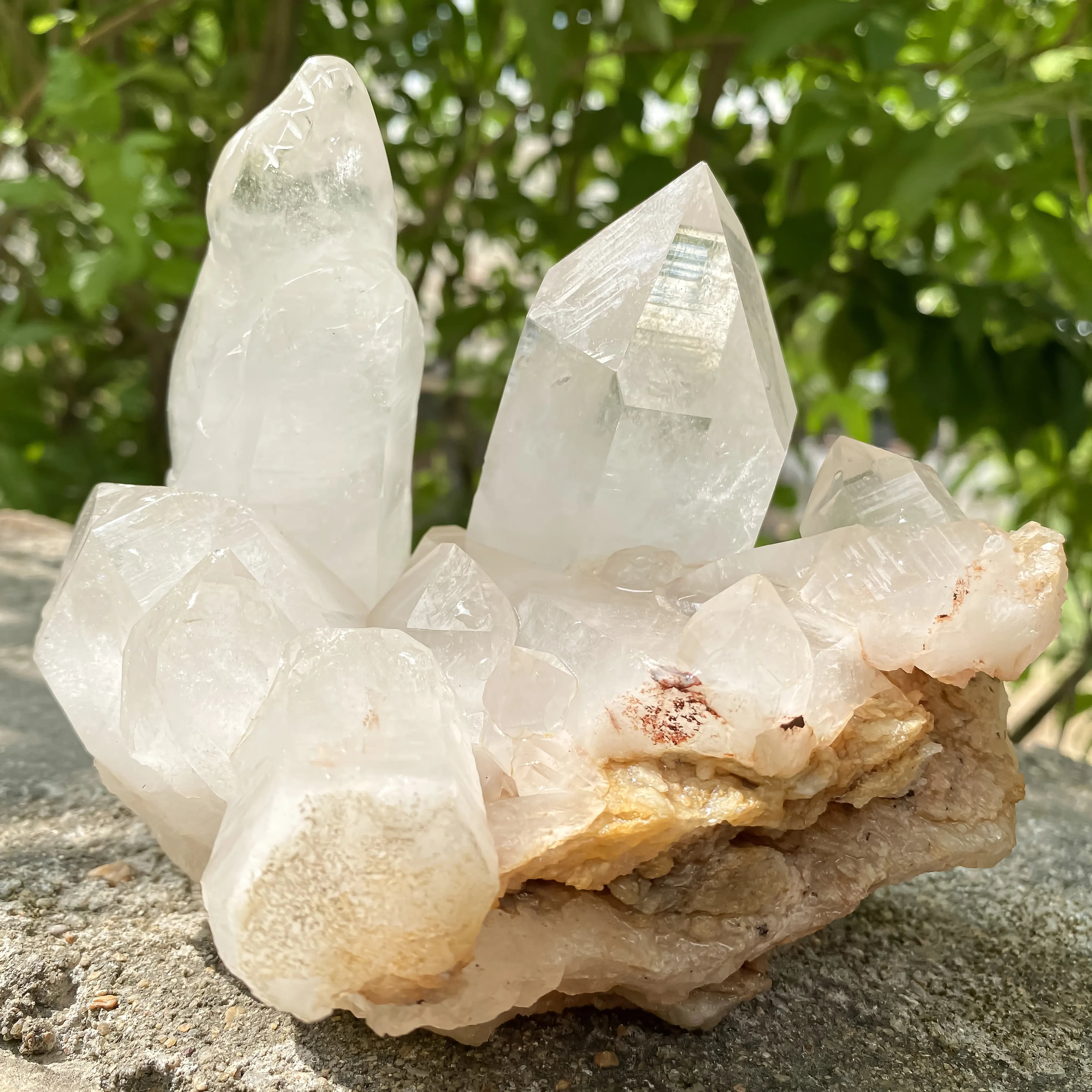 Natural Himalayan White Quartz Cluster 1350g Crocodile Shape Master Healer