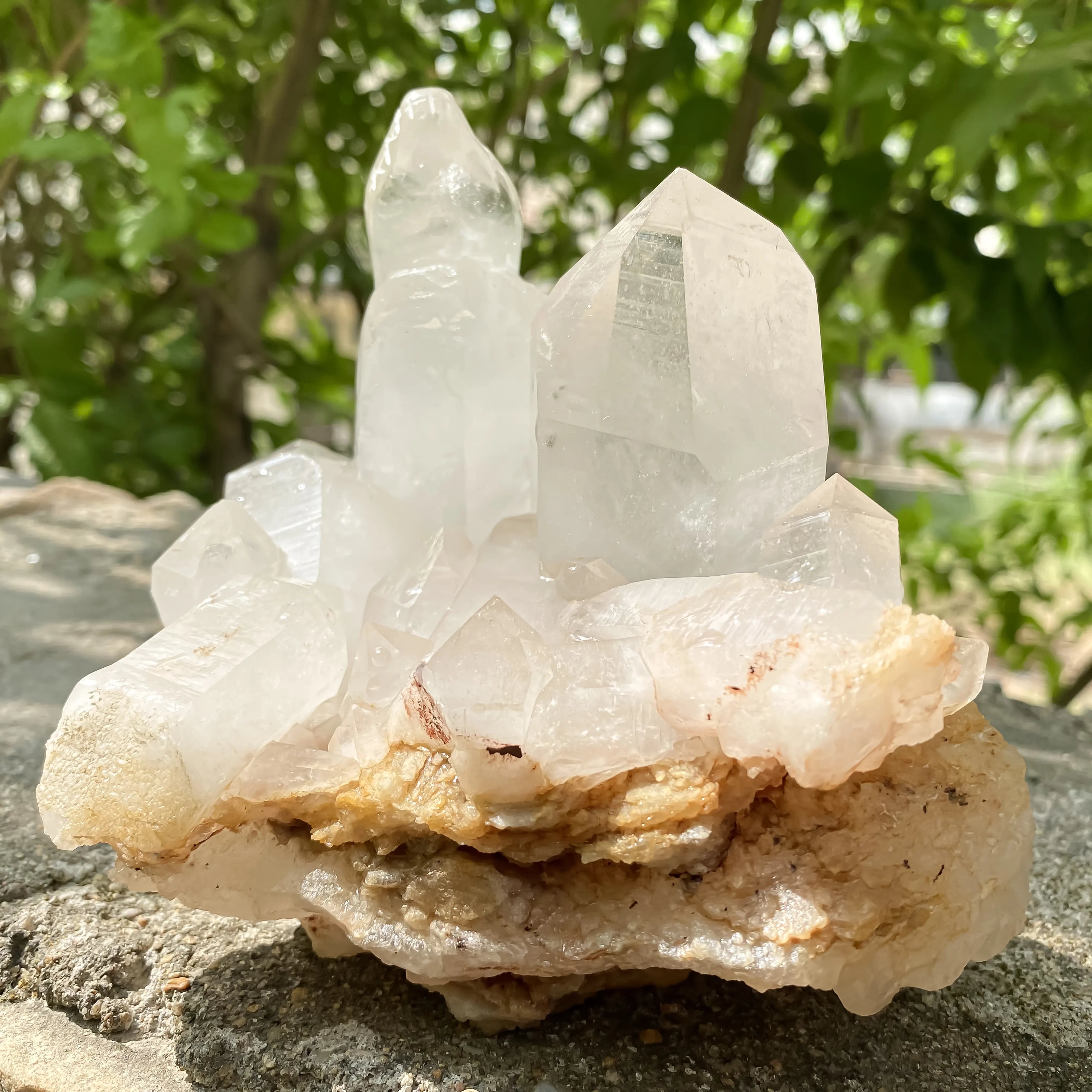 Natural Himalayan White Quartz Cluster 1350g Crocodile Shape Master Healer