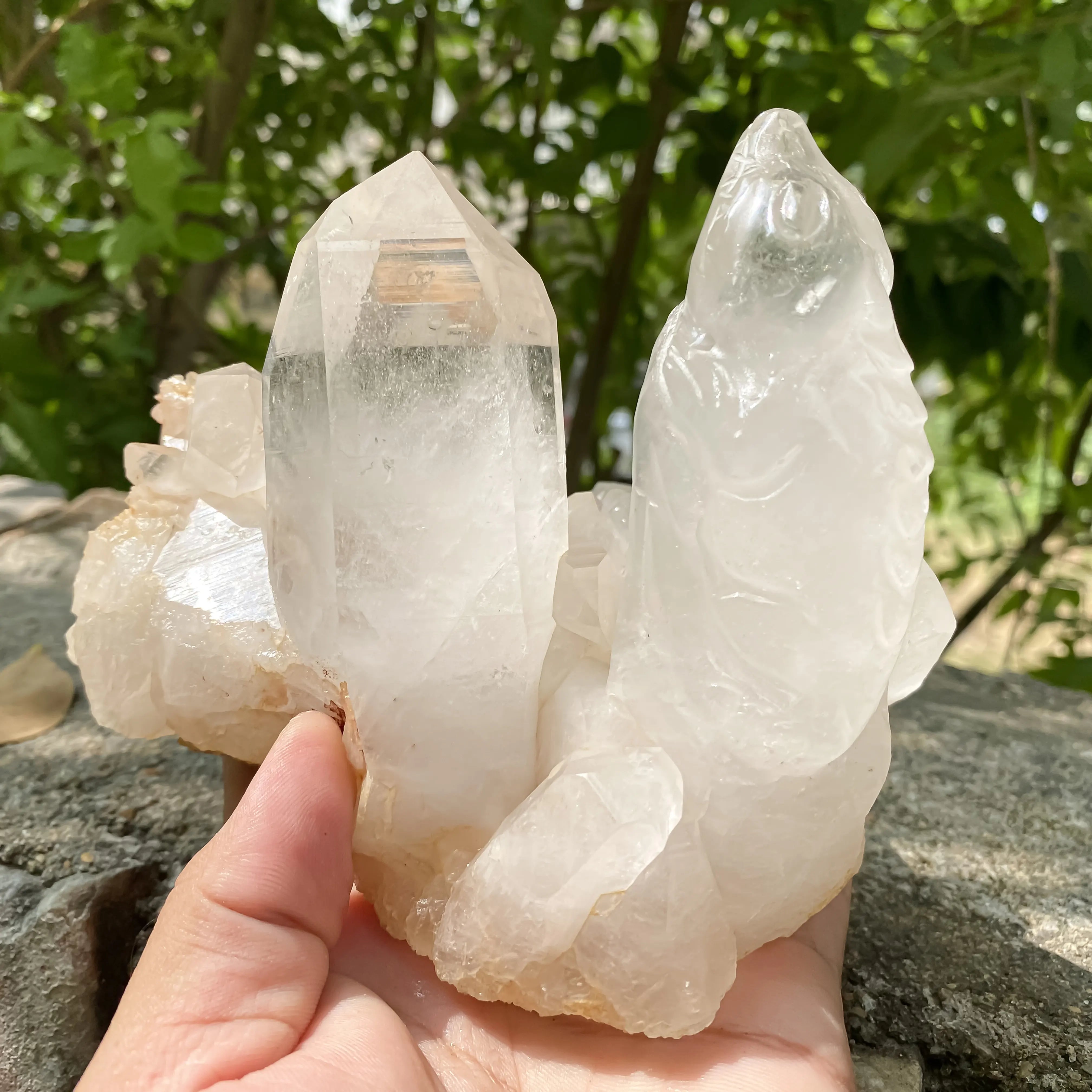 Natural Himalayan White Quartz Cluster 1350g Crocodile Shape Master Healer