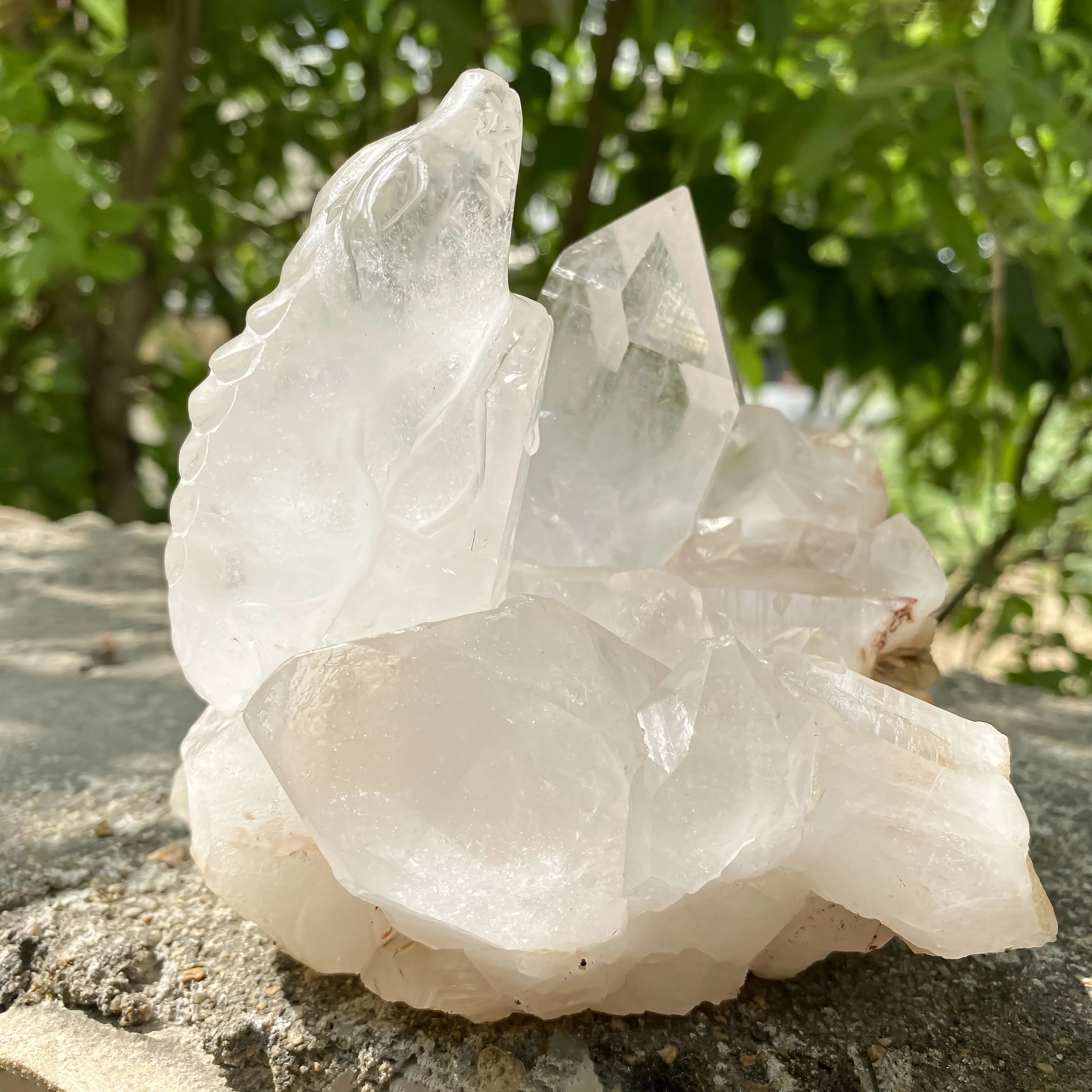 Natural Himalayan White Quartz Cluster 1350g Crocodile Shape Master Healer