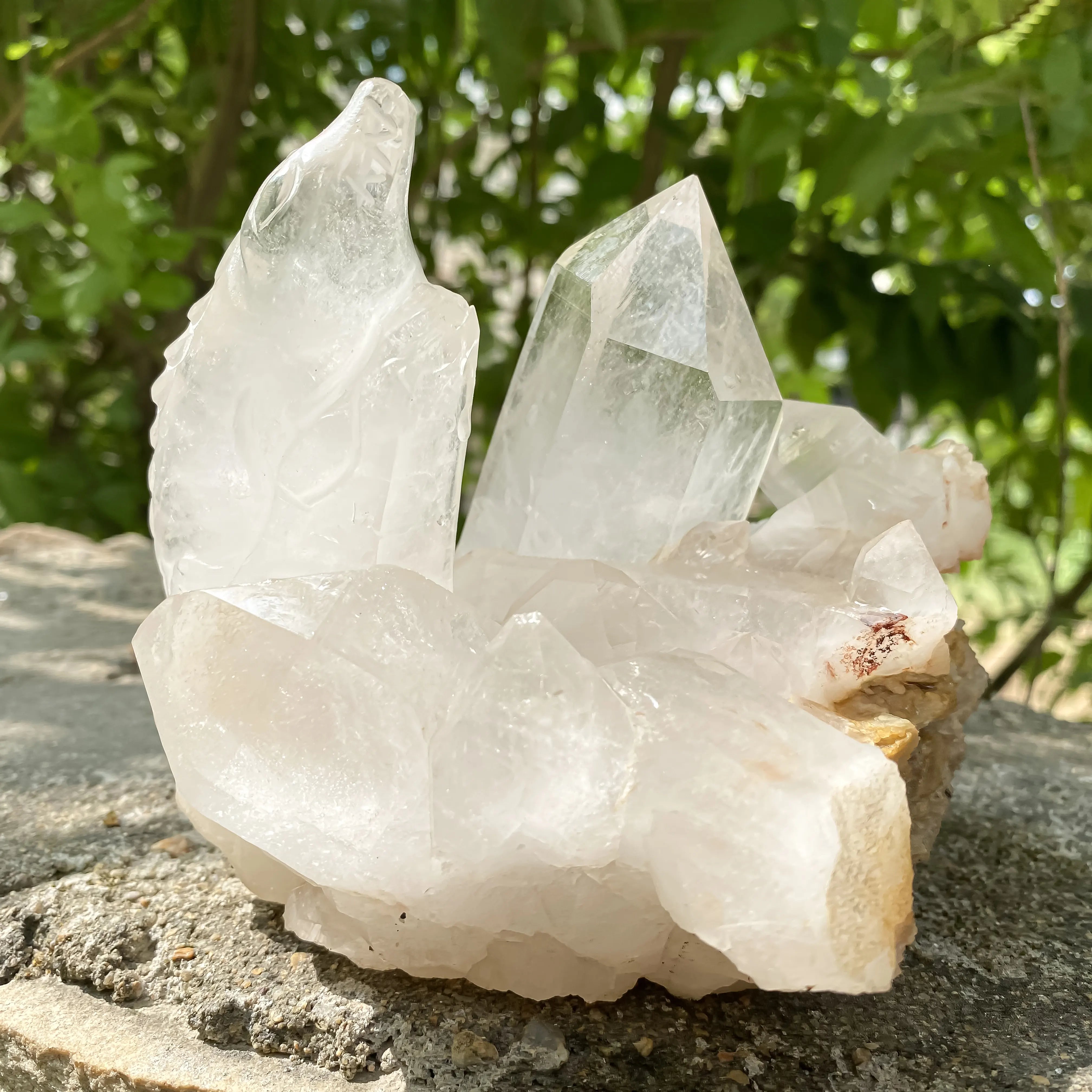 Natural Himalayan White Quartz Cluster 1350g Crocodile Shape Master Healer