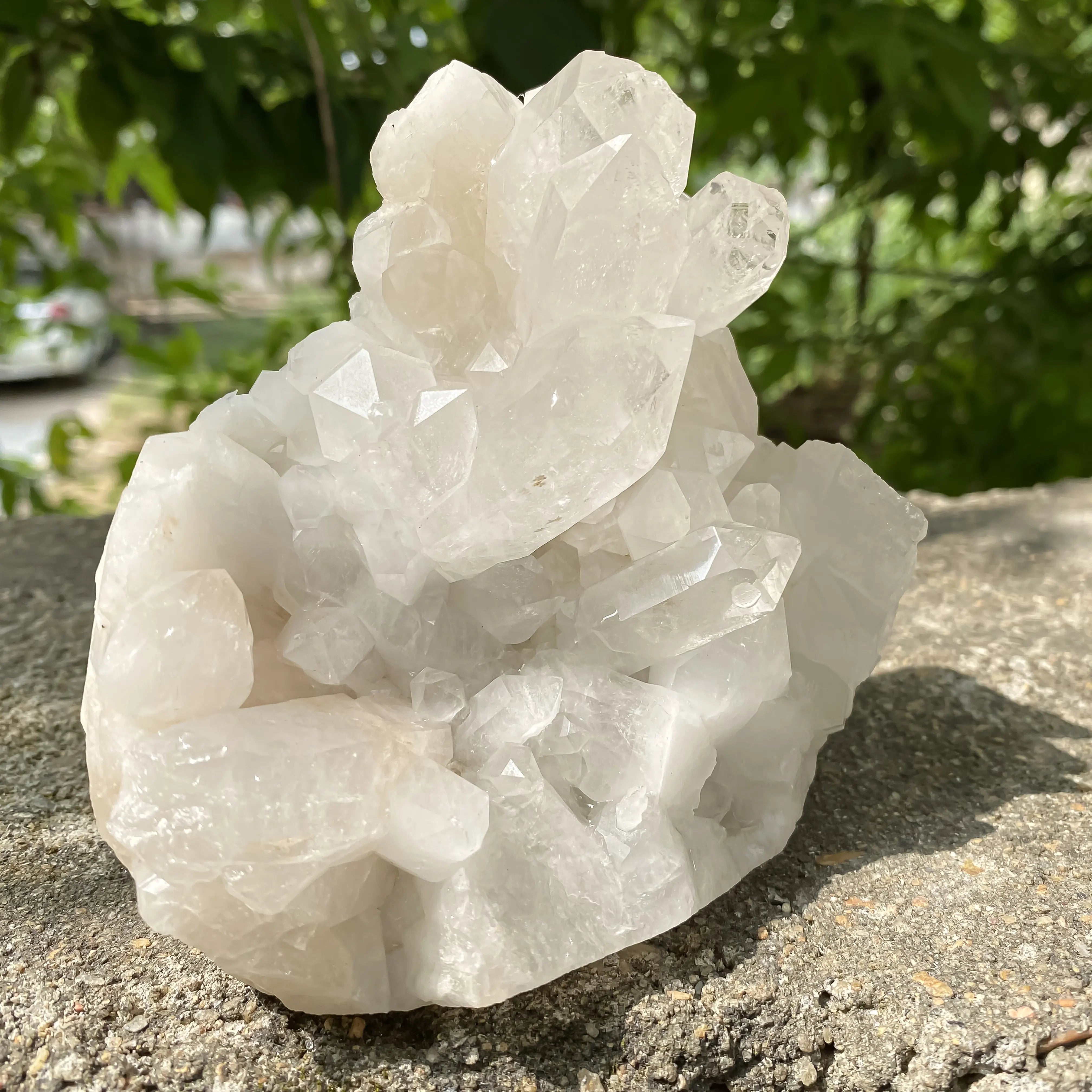 Natural Himalayan White Quartz Cluster 800g Dog Shape Master Healer