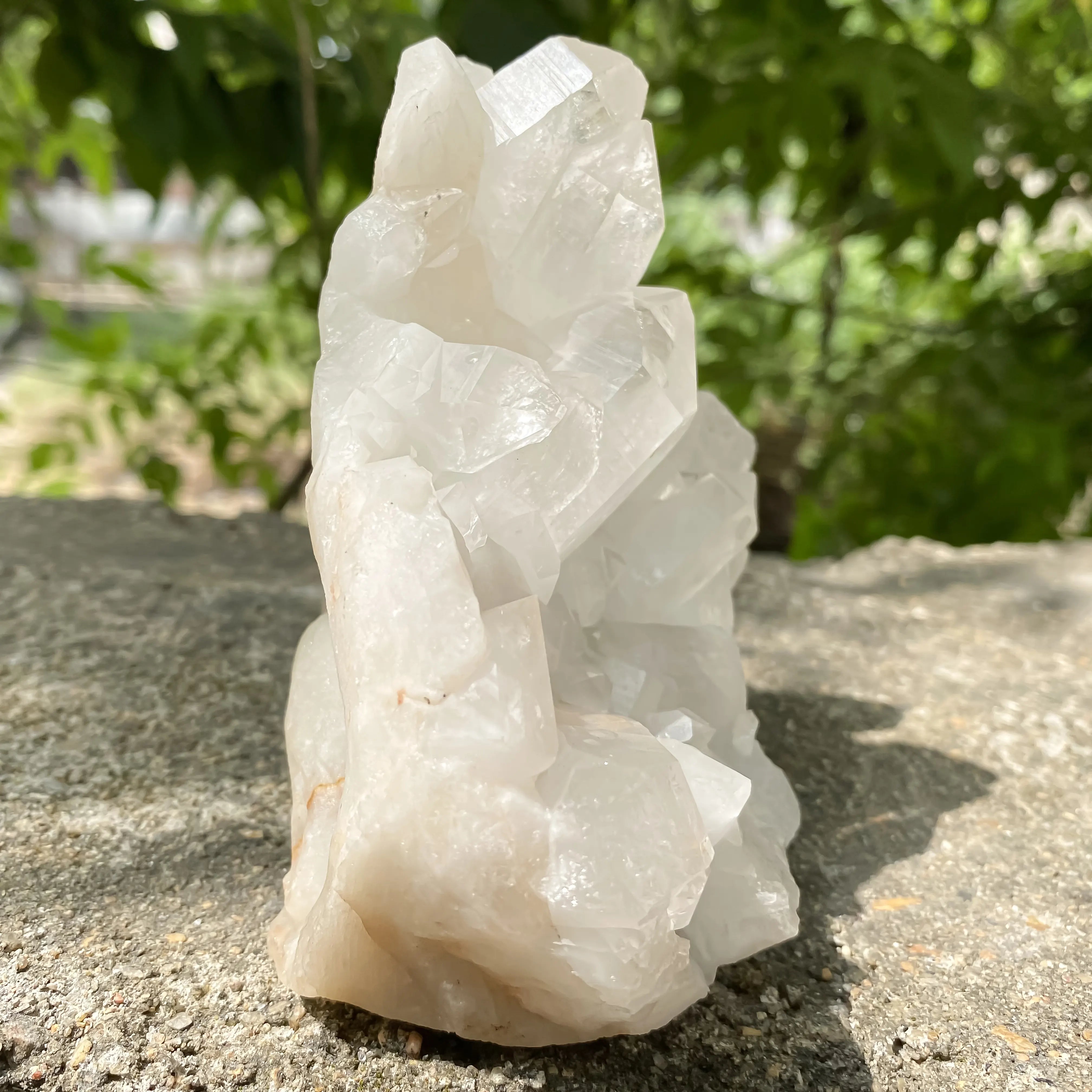 Natural Himalayan White Quartz Cluster 800g Dog Shape Master Healer