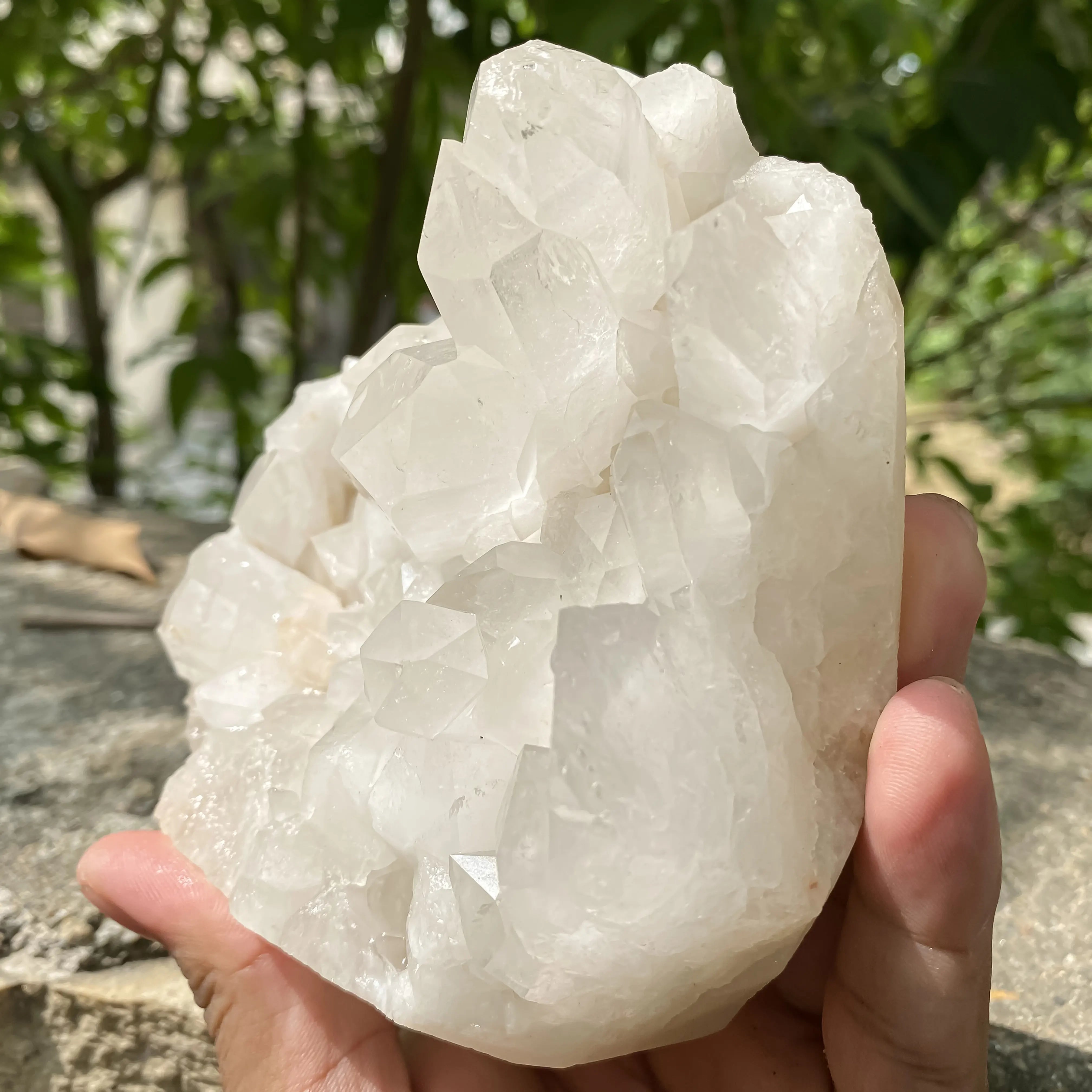 Natural Himalayan White Quartz Cluster 800g Dog Shape Master Healer