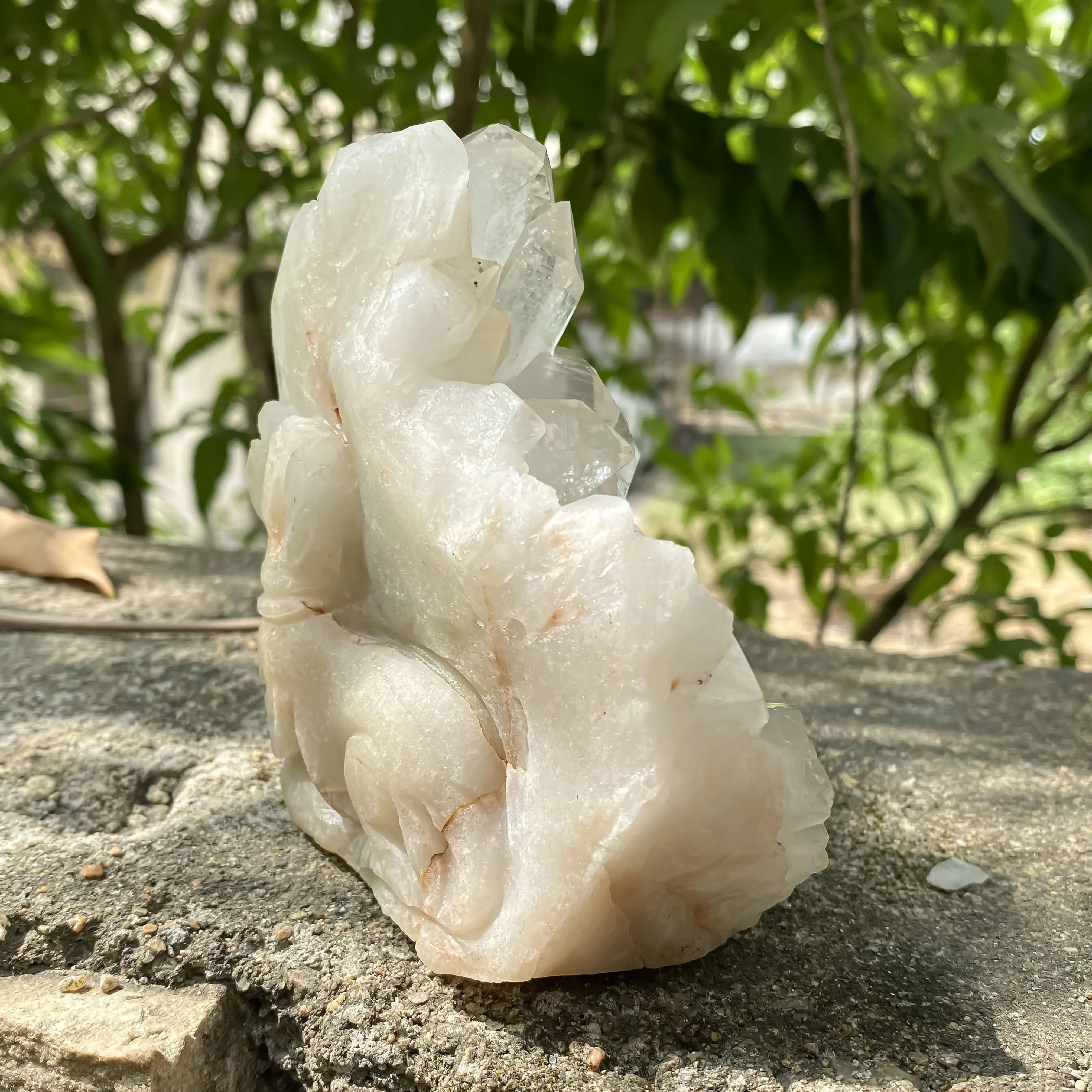 Natural Himalayan White Quartz Cluster 800g Dog Shape Master Healer