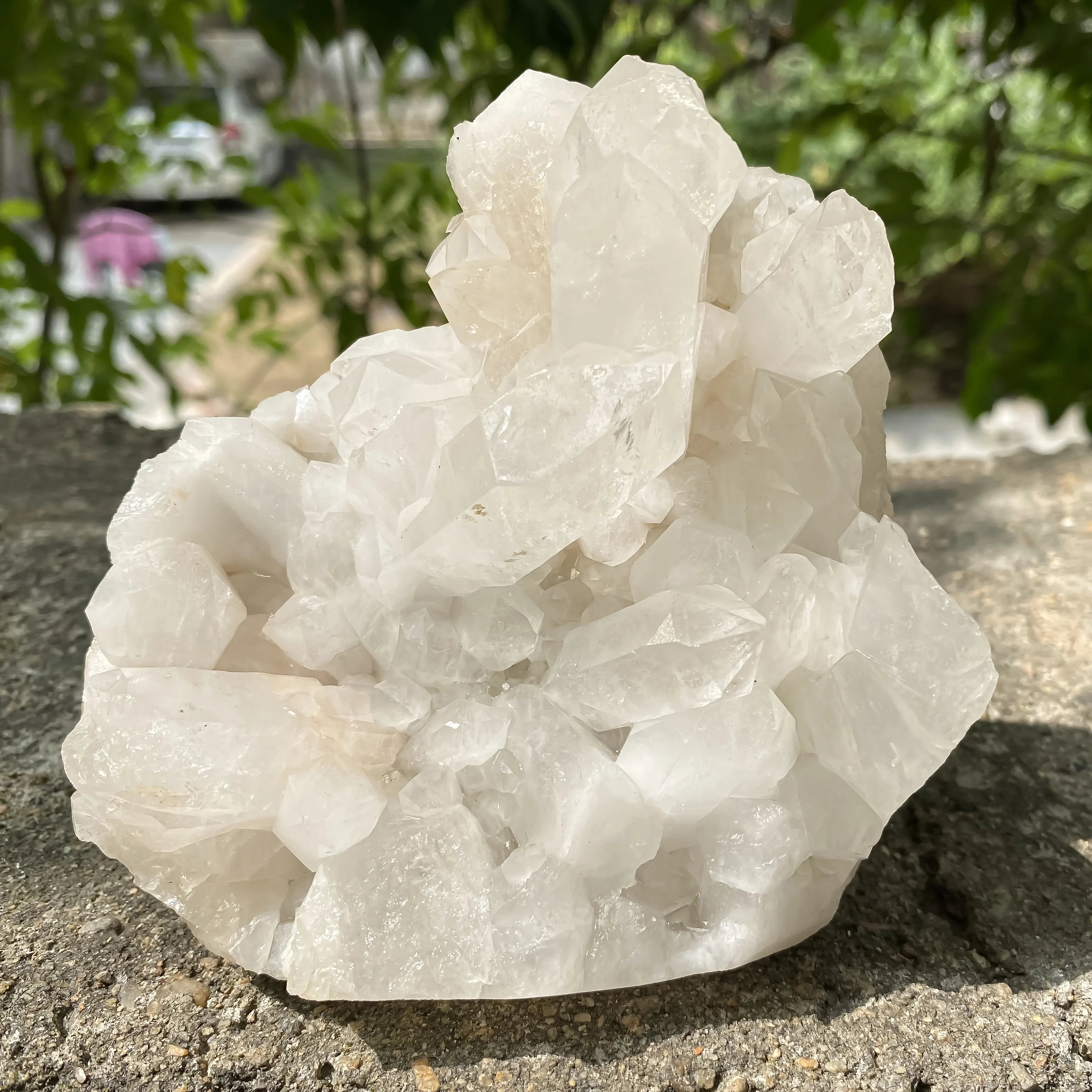 Natural Himalayan White Quartz Cluster 800g Dog Shape Master Healer