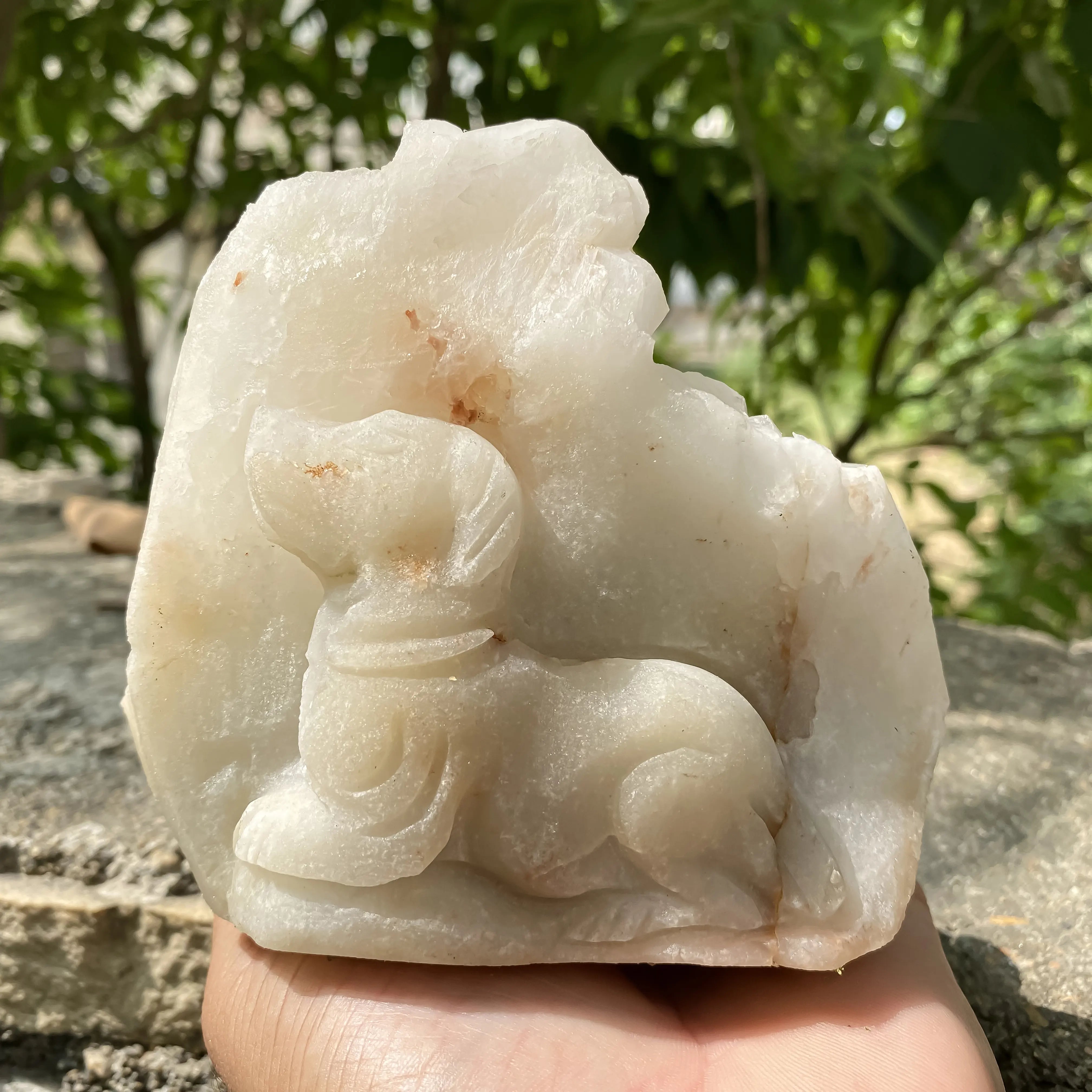 Natural Himalayan White Quartz Cluster 800g Dog Shape Master Healer