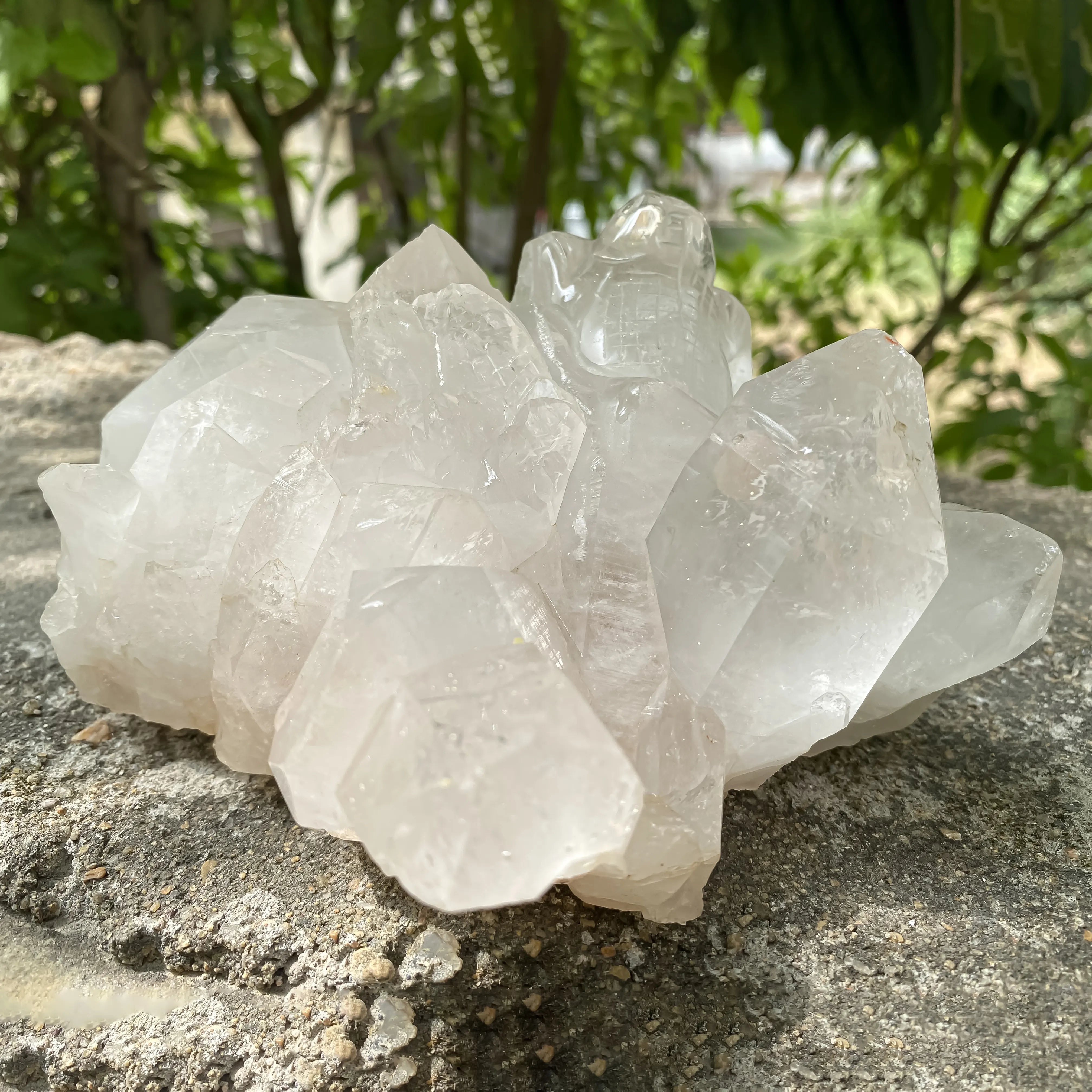 Natural Himalayan White Quartz Lizard Cluster 1650g
